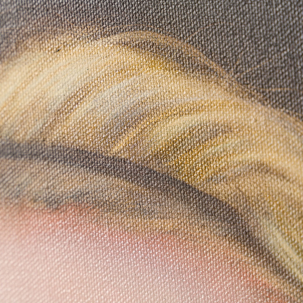 SRS ORI POR 30937 Jacks 6