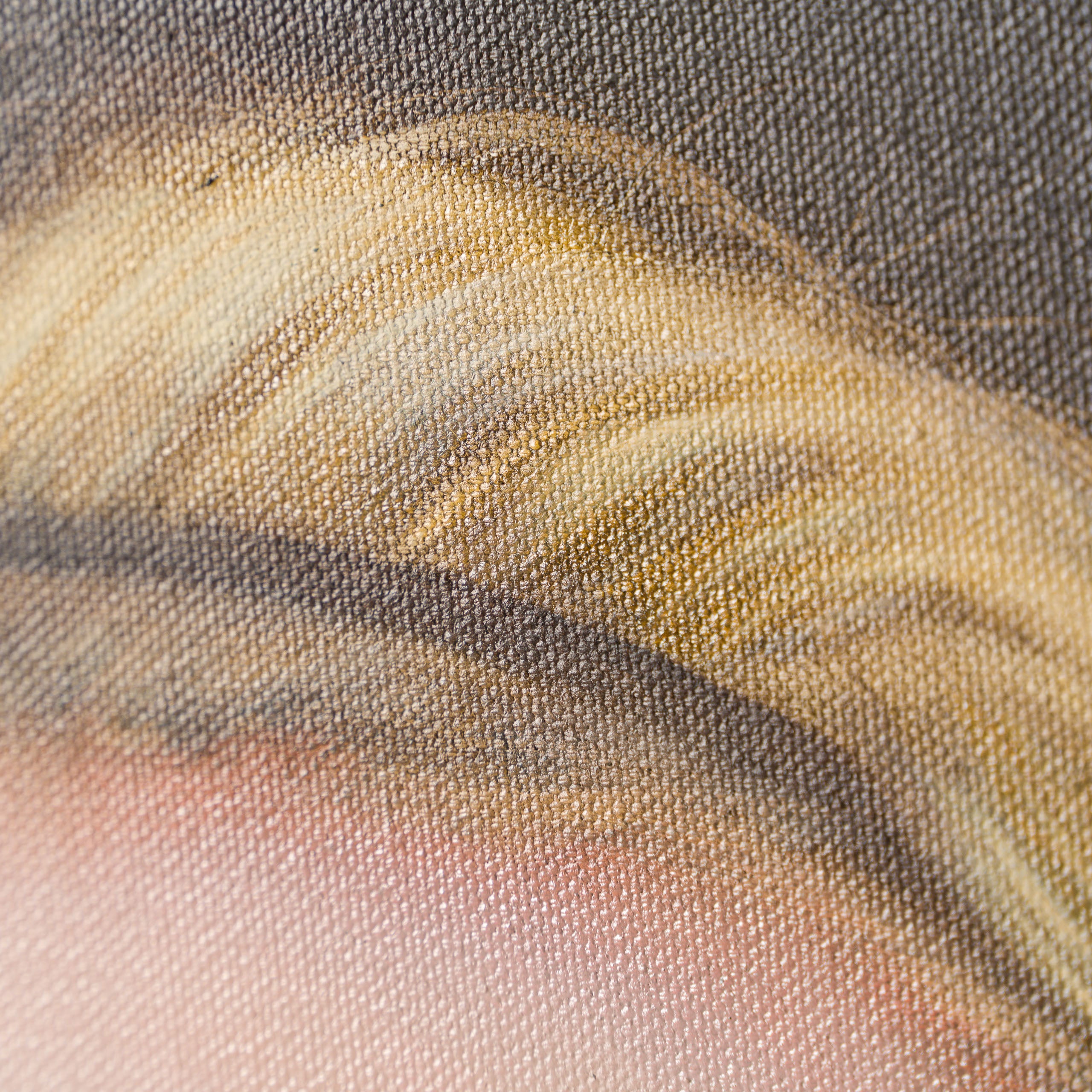 SRS ORI POR 30937 Jacks 6