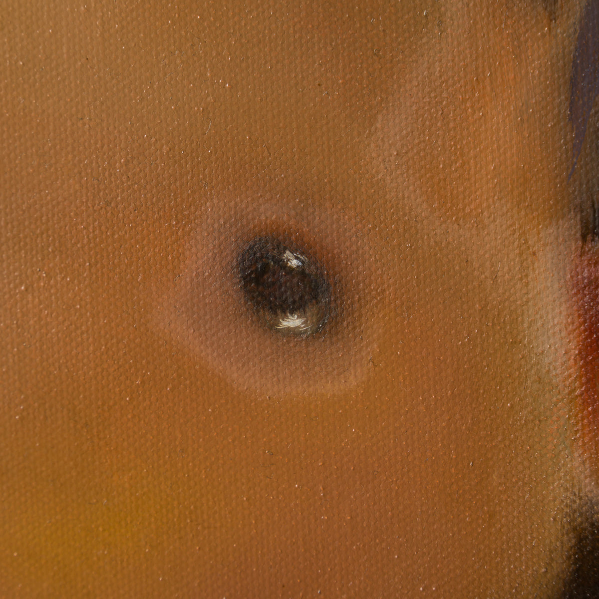 SRS ORI POR 30950 Lupita 5