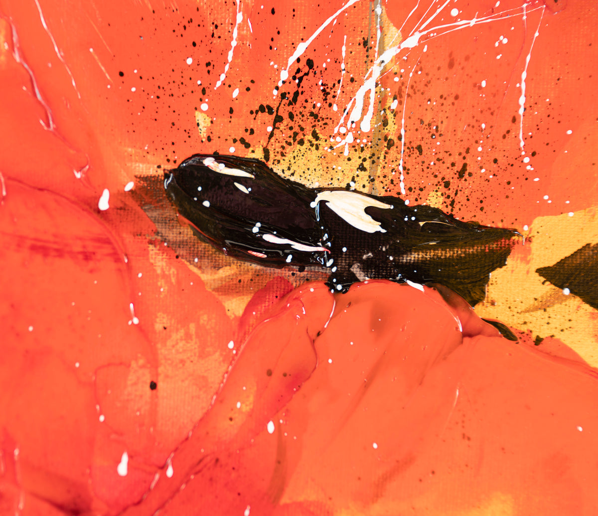 SSI ORI LAN 26449 4 Cordialis