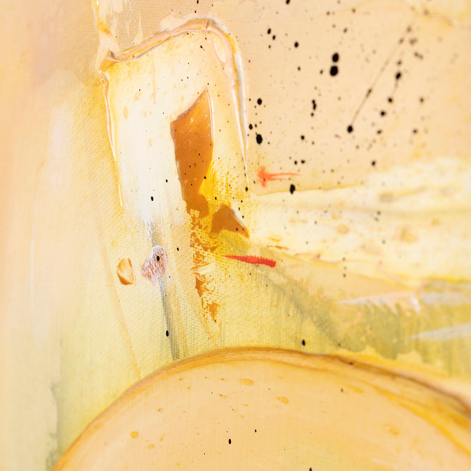 SSI ORI LAN 28462 4 Tranquillitas