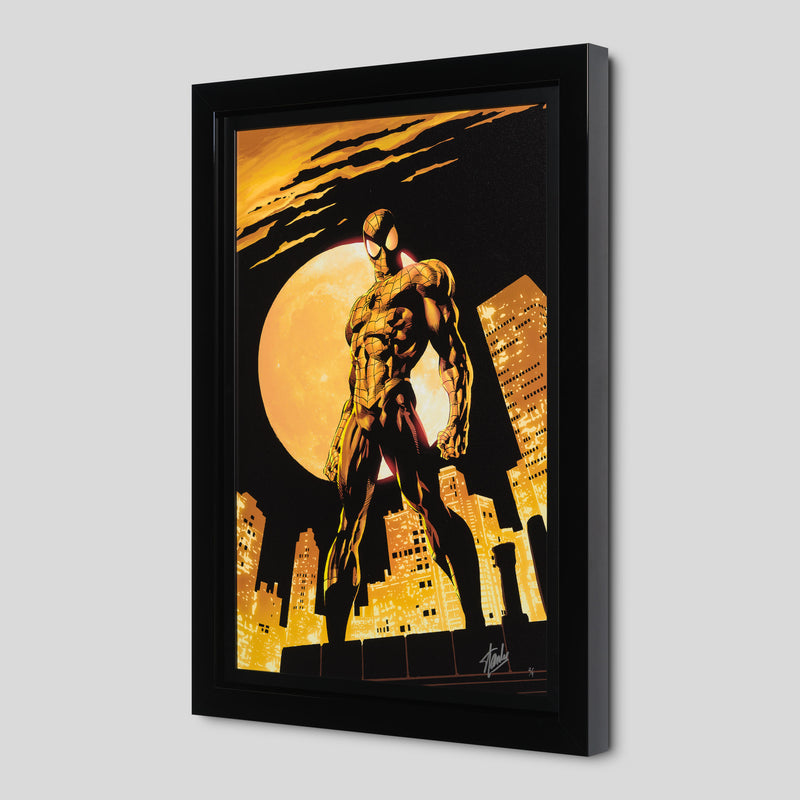 STL Amazing Spider Man #528 e4 2