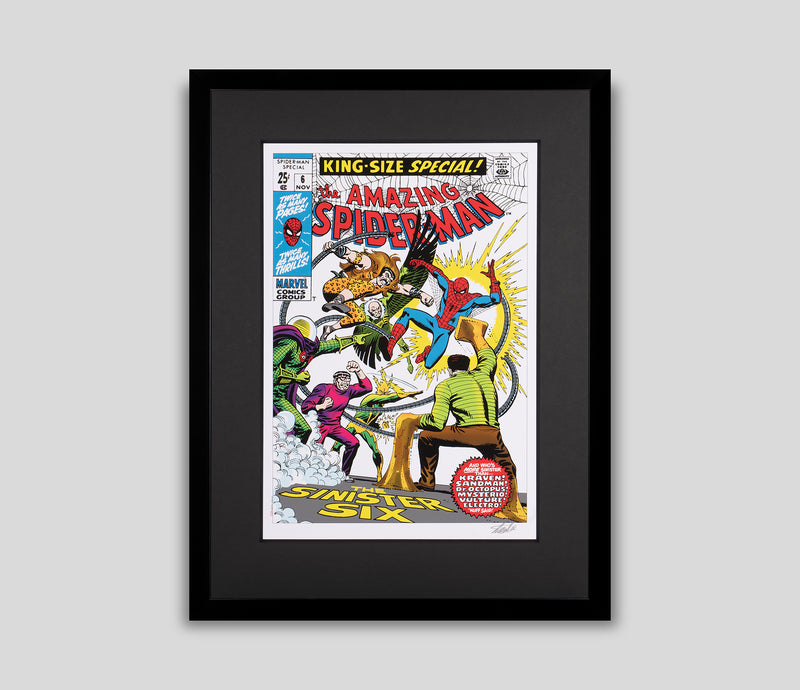 STL SLE HUM 27940 1 The Amazing Spiderman 6