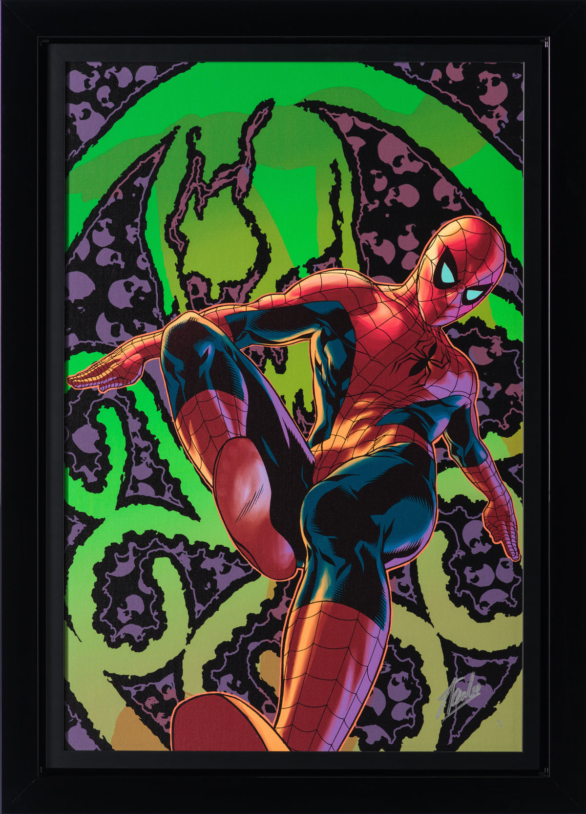 Amazing Spider-Man #524 (Deluxe Edition)