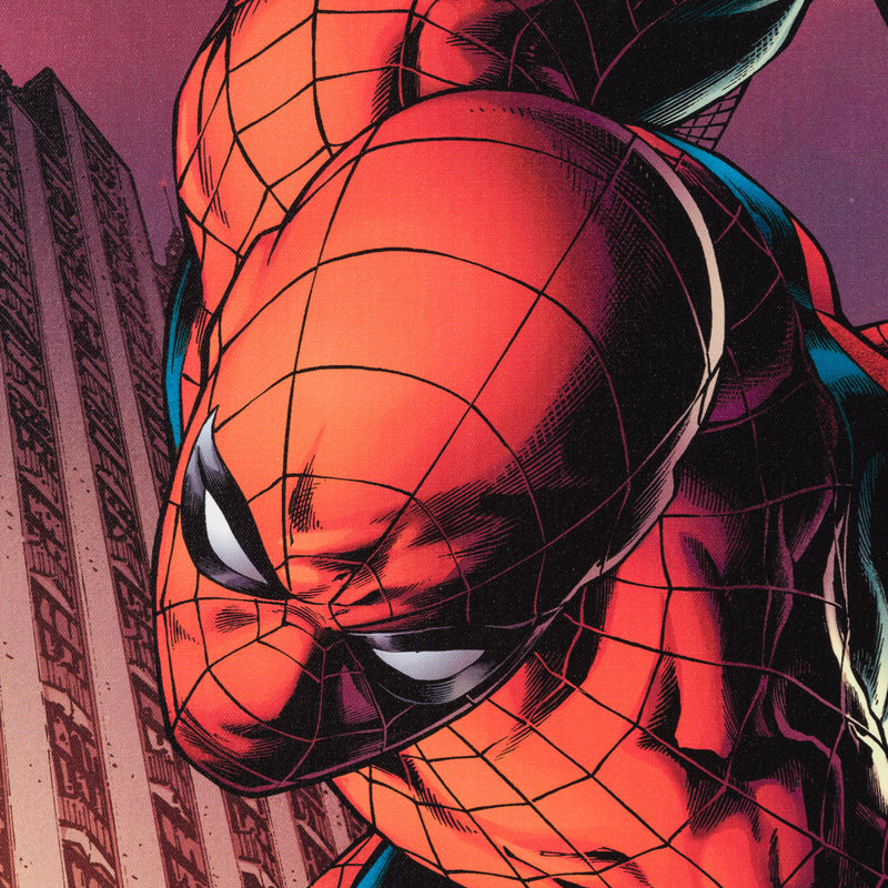 STL SLE LEG 29948 5 Amazing Spider Man #641