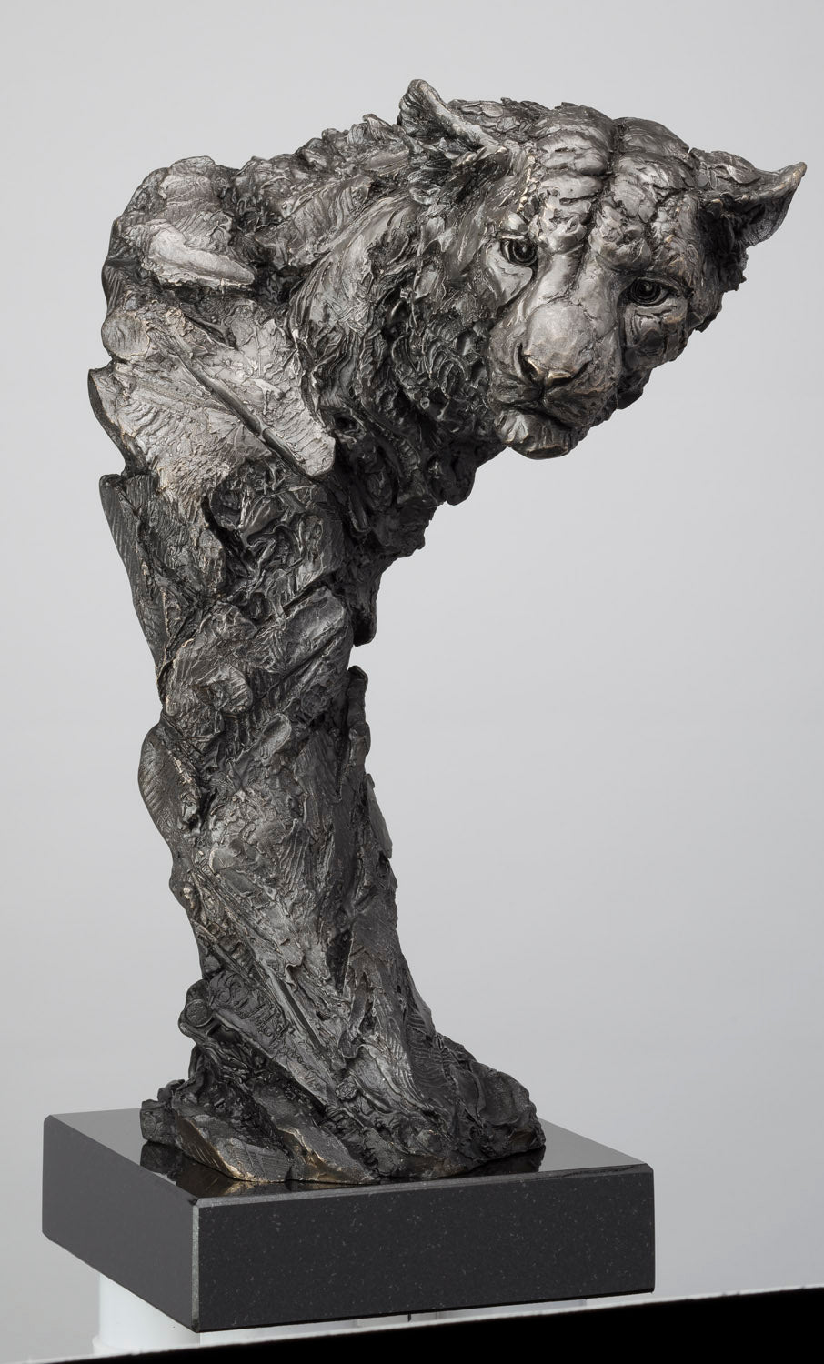 SWI Elusive Master (Medium)