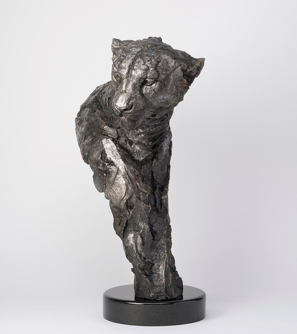 SWI ELUSIVE MASTER SC2 RGB RGB LR