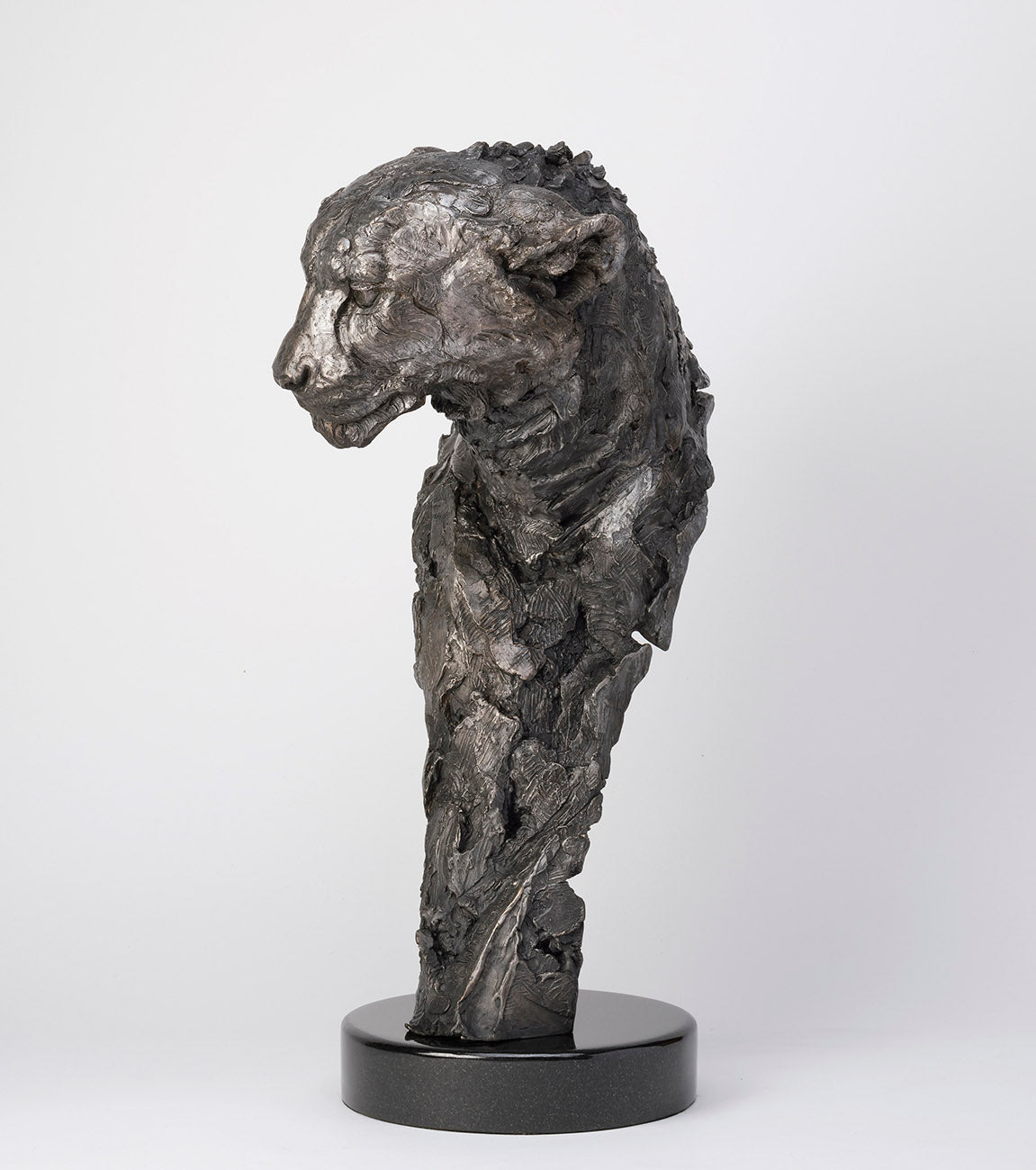 SWI ELUSIVE MASTER SC3 RGB RGB LR