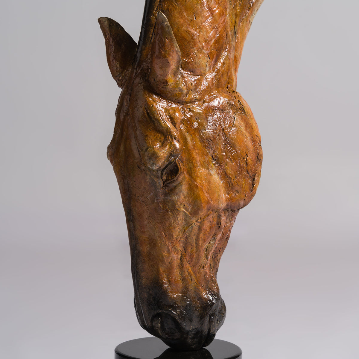 SWI Grounded Serenity Bay 9