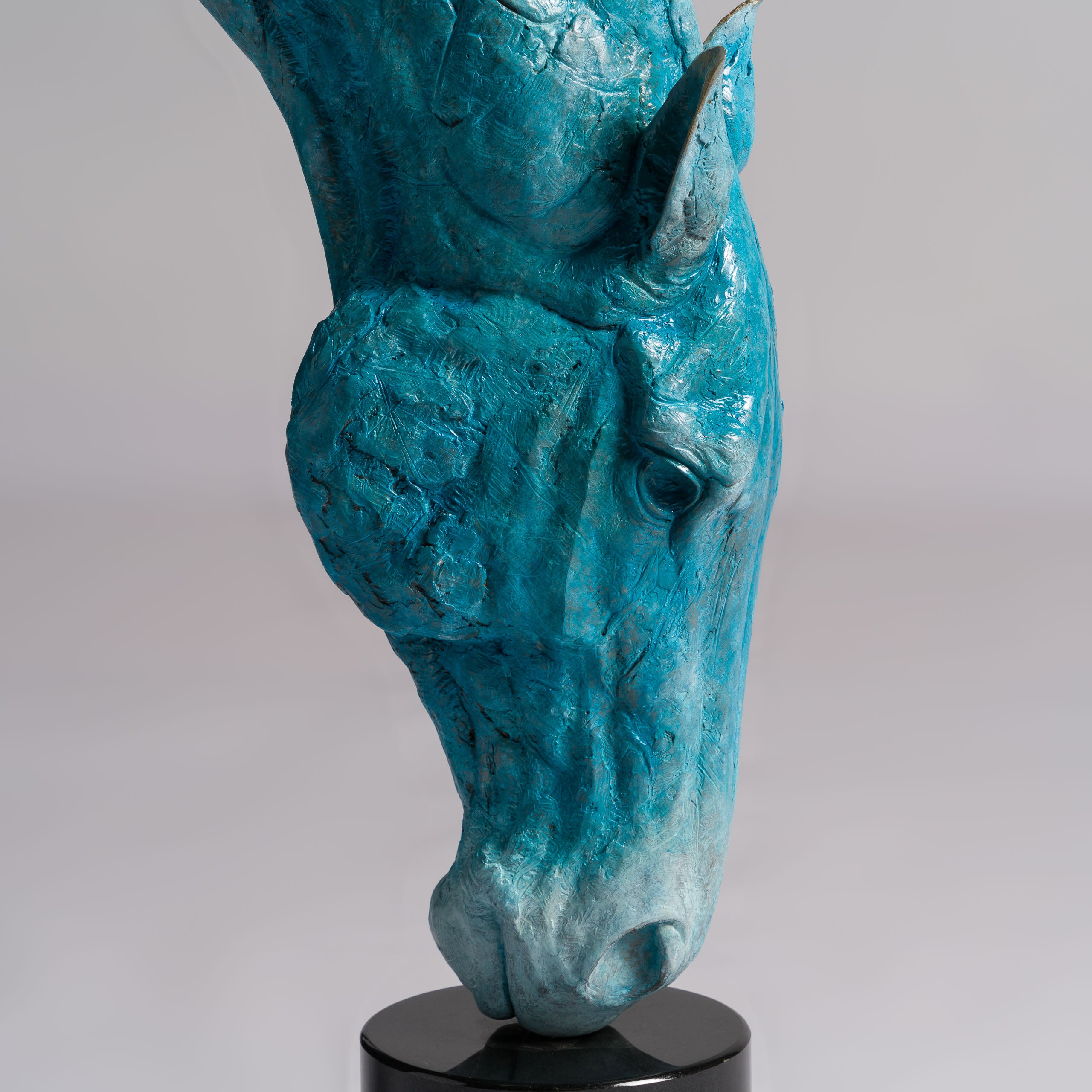 SWI Grounded Serenity Blue Roan 15