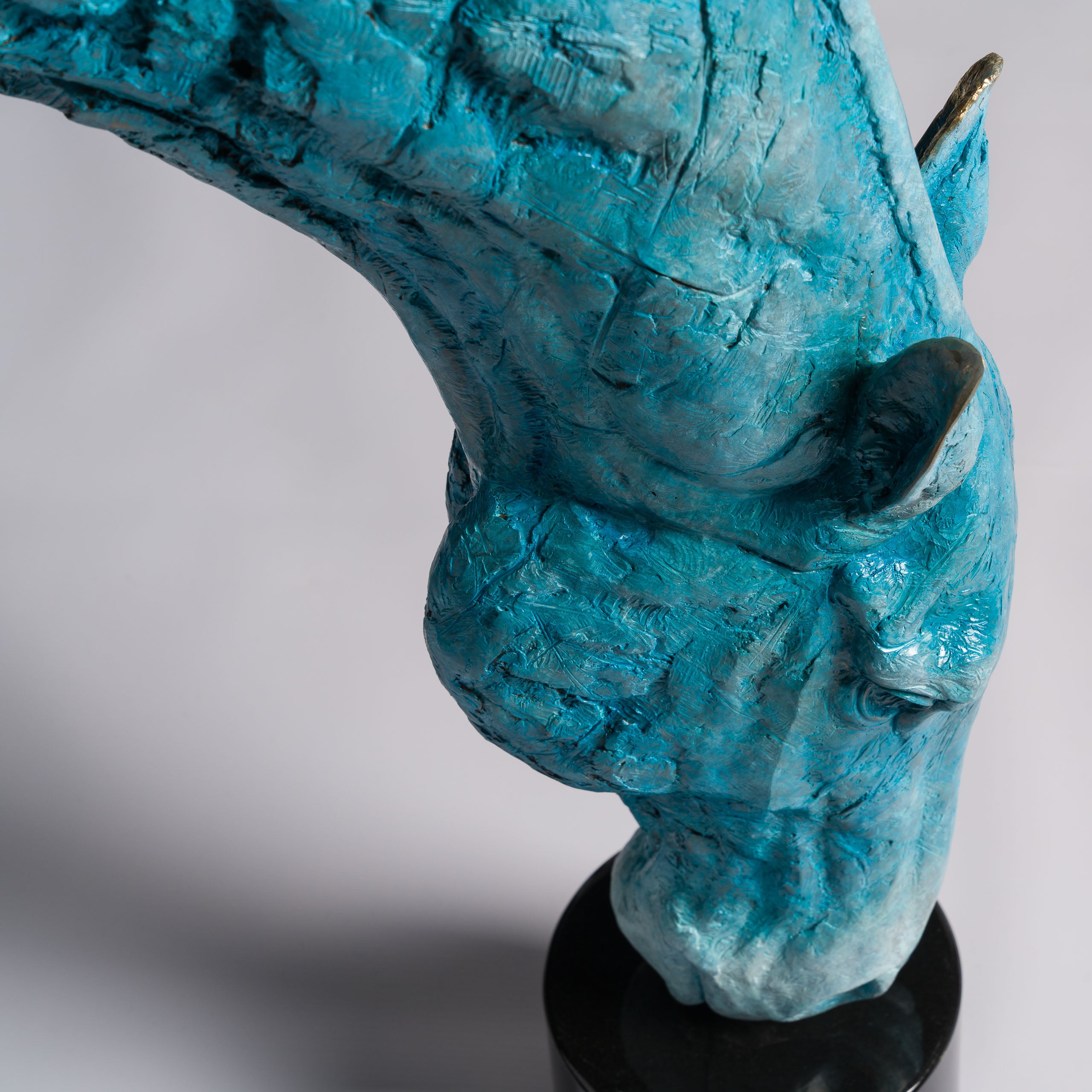 SWI Grounded Serenity Blue Roan 19