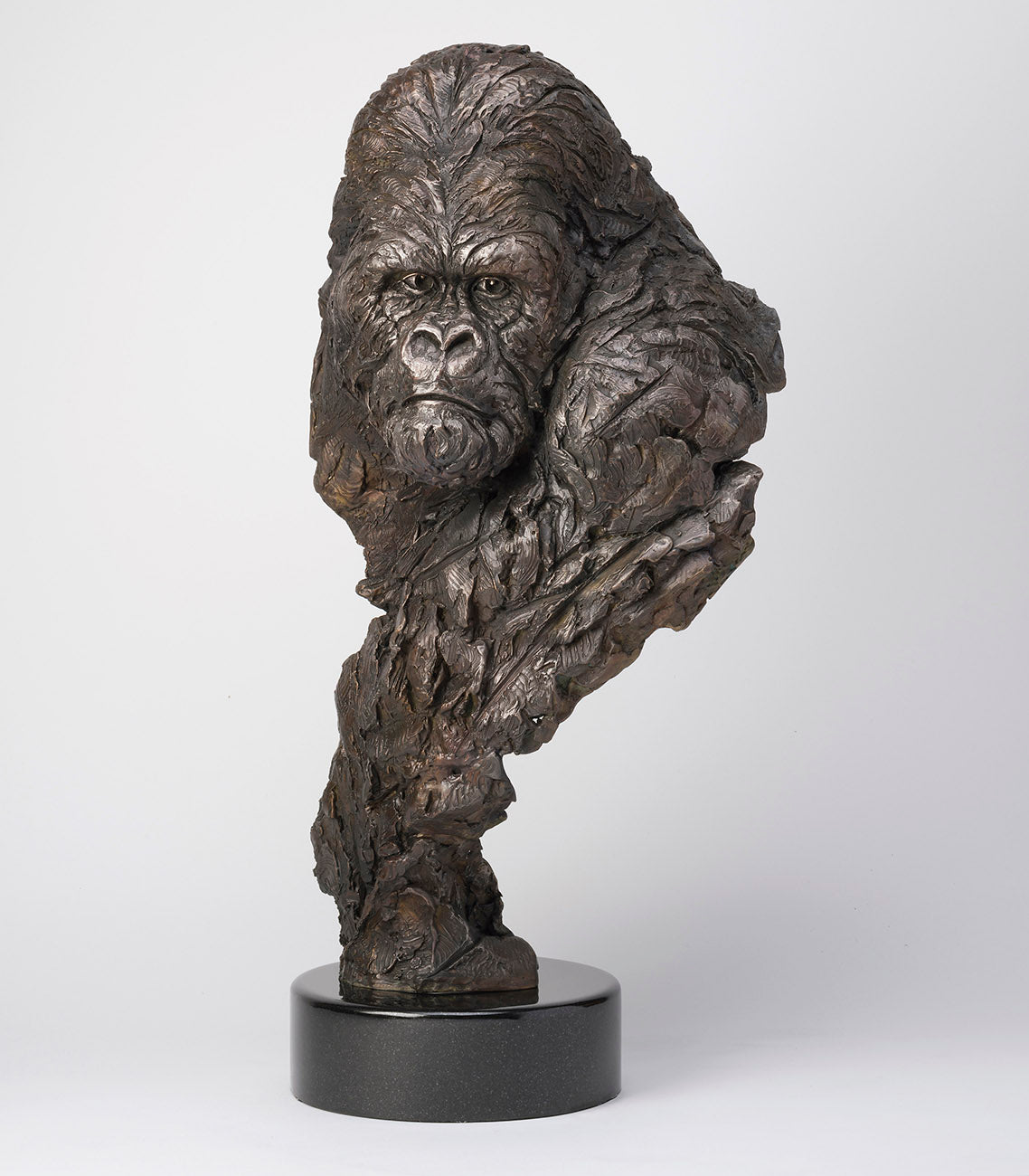 SWI GUARDIAN SC1 RGB RGB LR