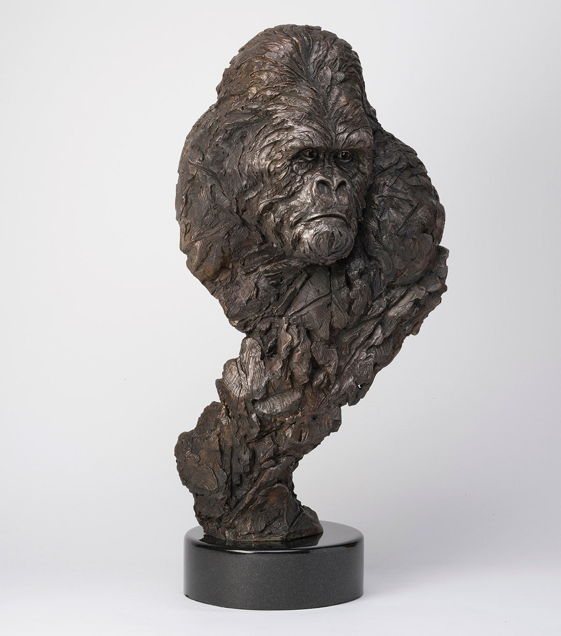 SWI GUARDIAN SC2 RGB RGB LR