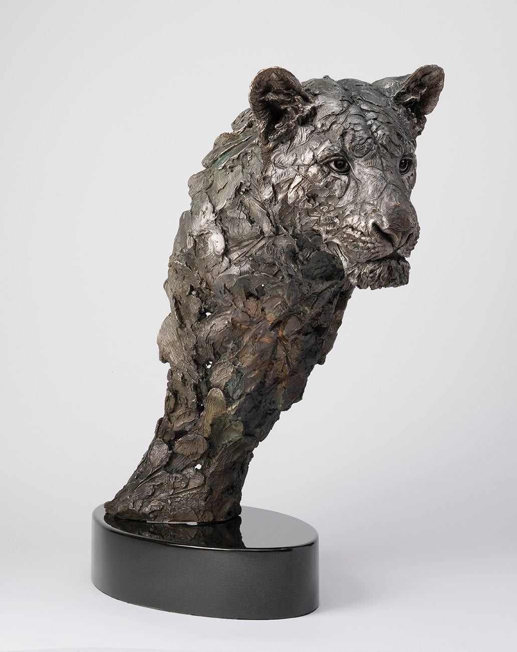 SWI LIKE THE WIND SC1 RGB RGB LR