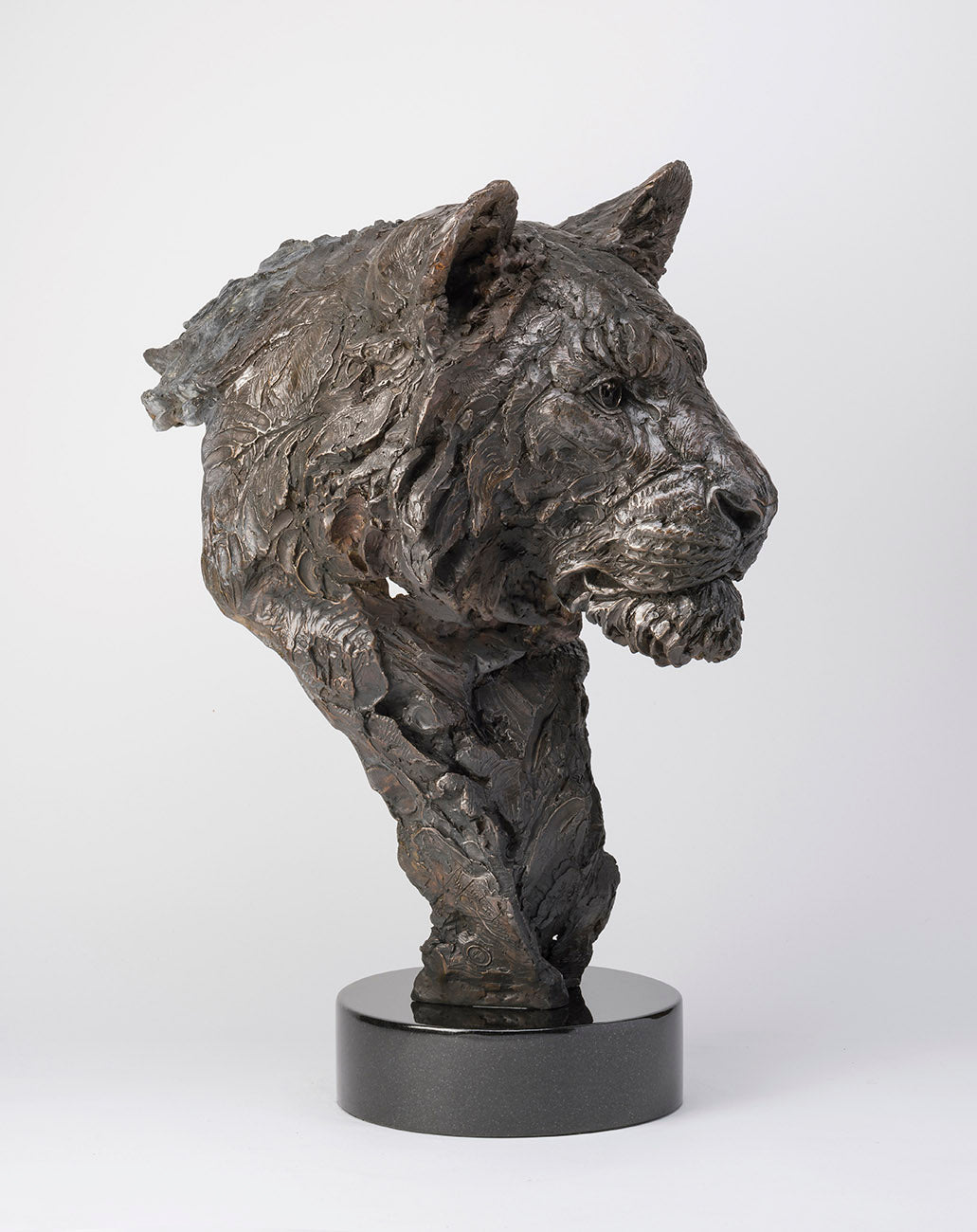 SWI SACRED SOUL SC3 RGB RGB LR