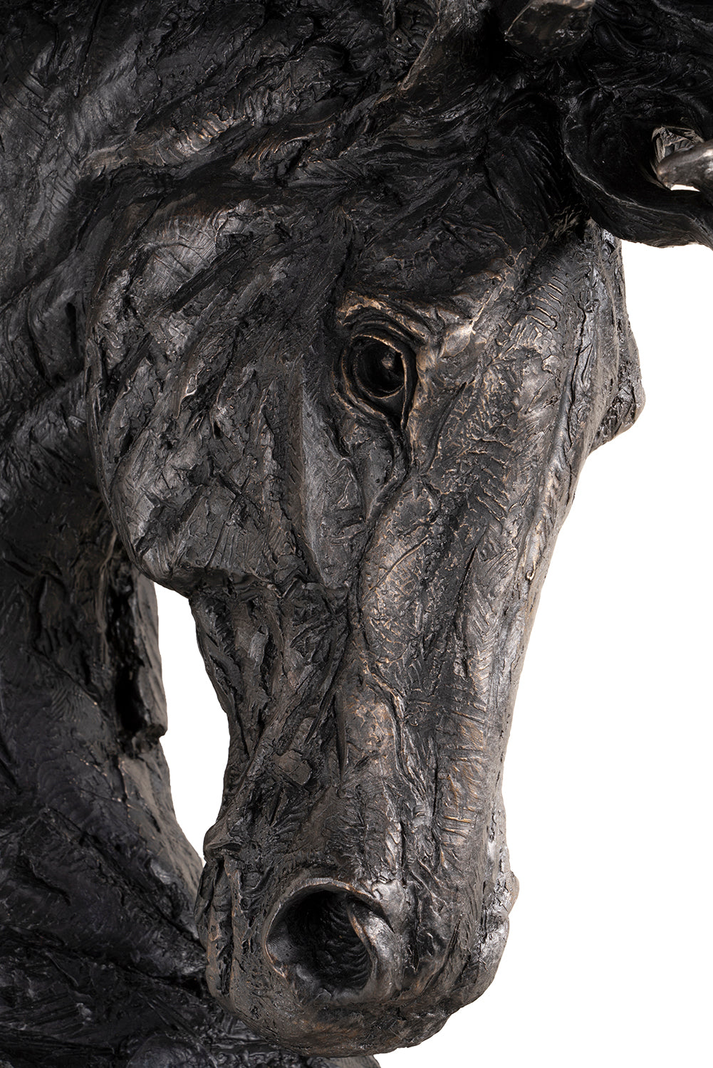 SWI SCU WWL 24316 2 Spirit of the Seas (Horse)