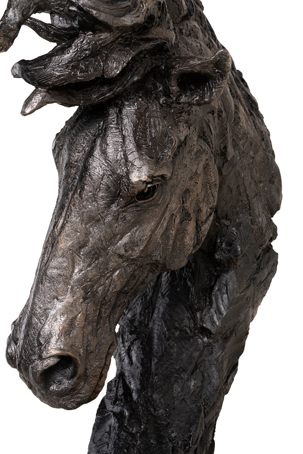 SWI SCU WWL 24316 4 Spirit of the Seas (Horse)