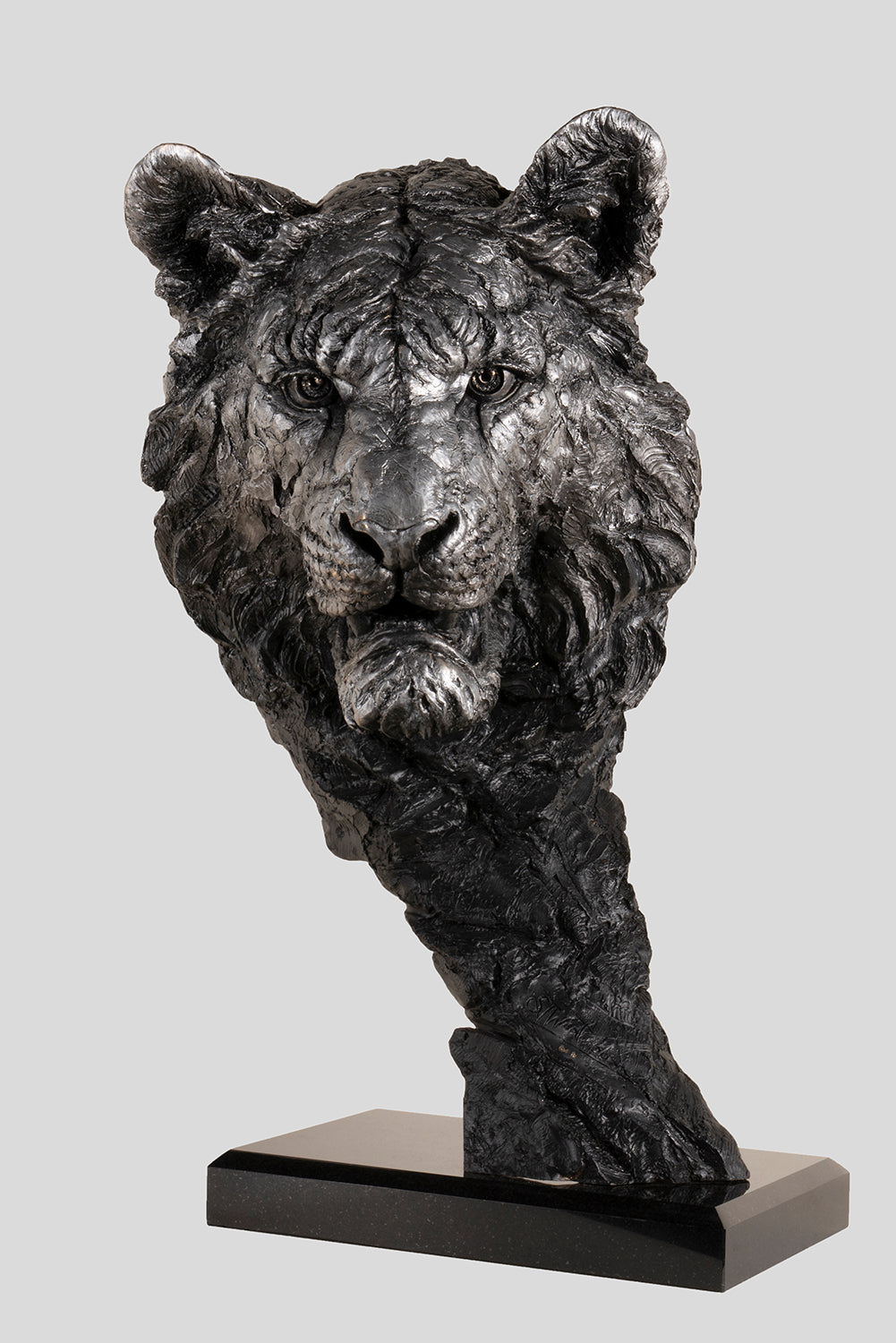 SWI SCU WWL 24317 1 Intensity (Tiger) grey