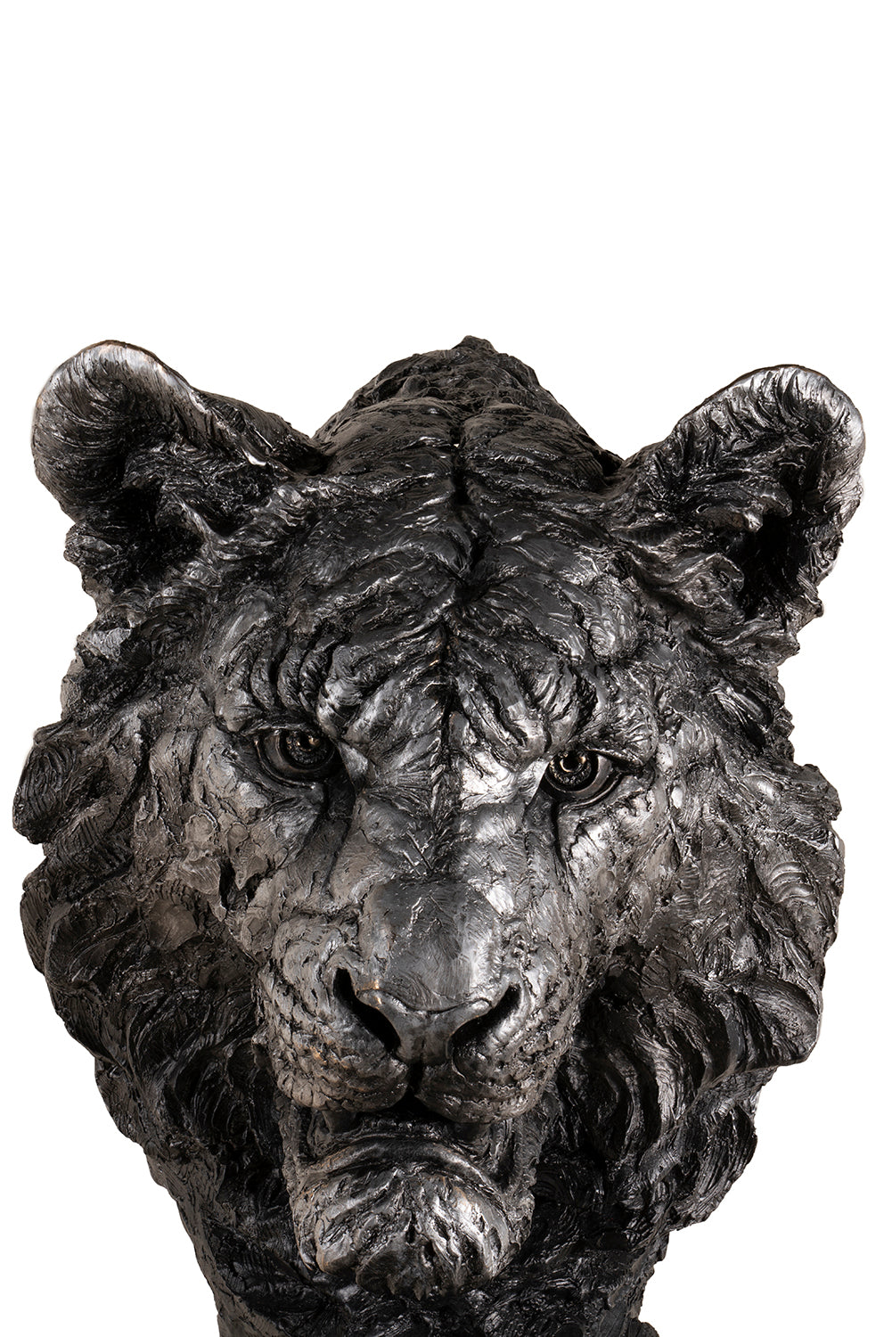 SWI SCU WWL 24317 2 Intensity (Tiger)