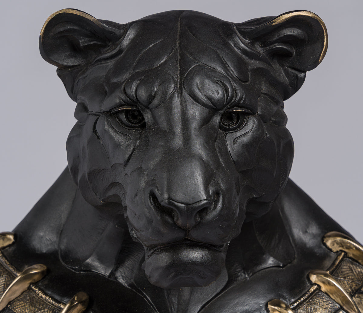 SWI SCU WWL 28054 2 Power (Black Panther)