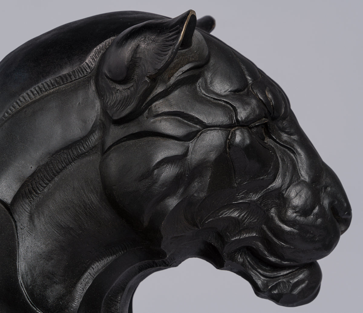 SWI SCU WWL 28054 8 Power (Black Panther)