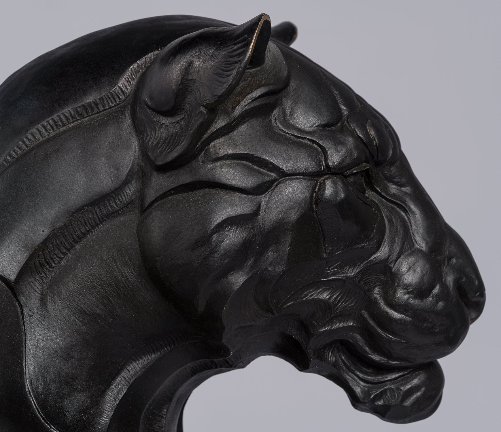 SWI SCU WWL 28054 8 Power (Black Panther)