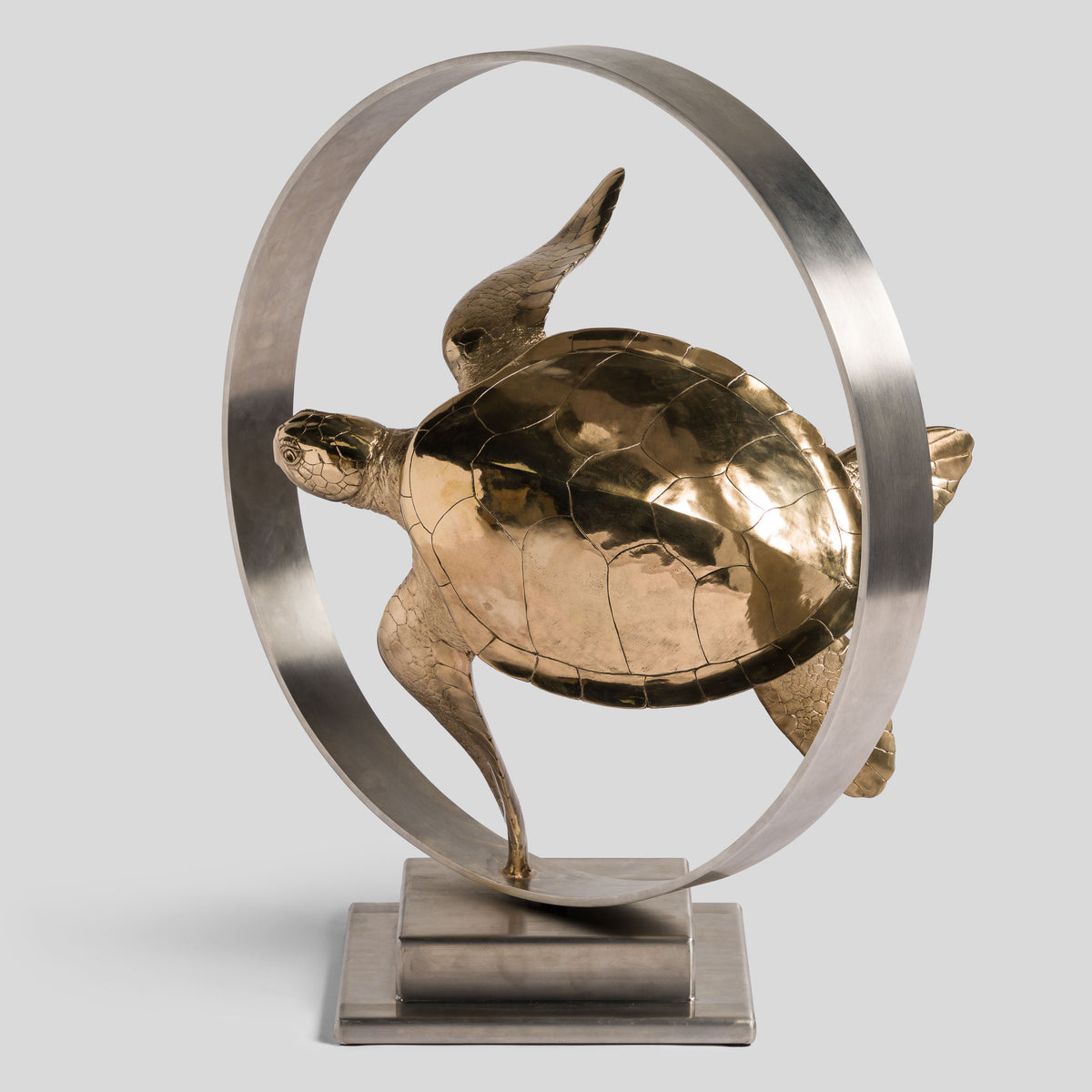 SWI SCU WWL 33636 Wisdom (Turtle) 3