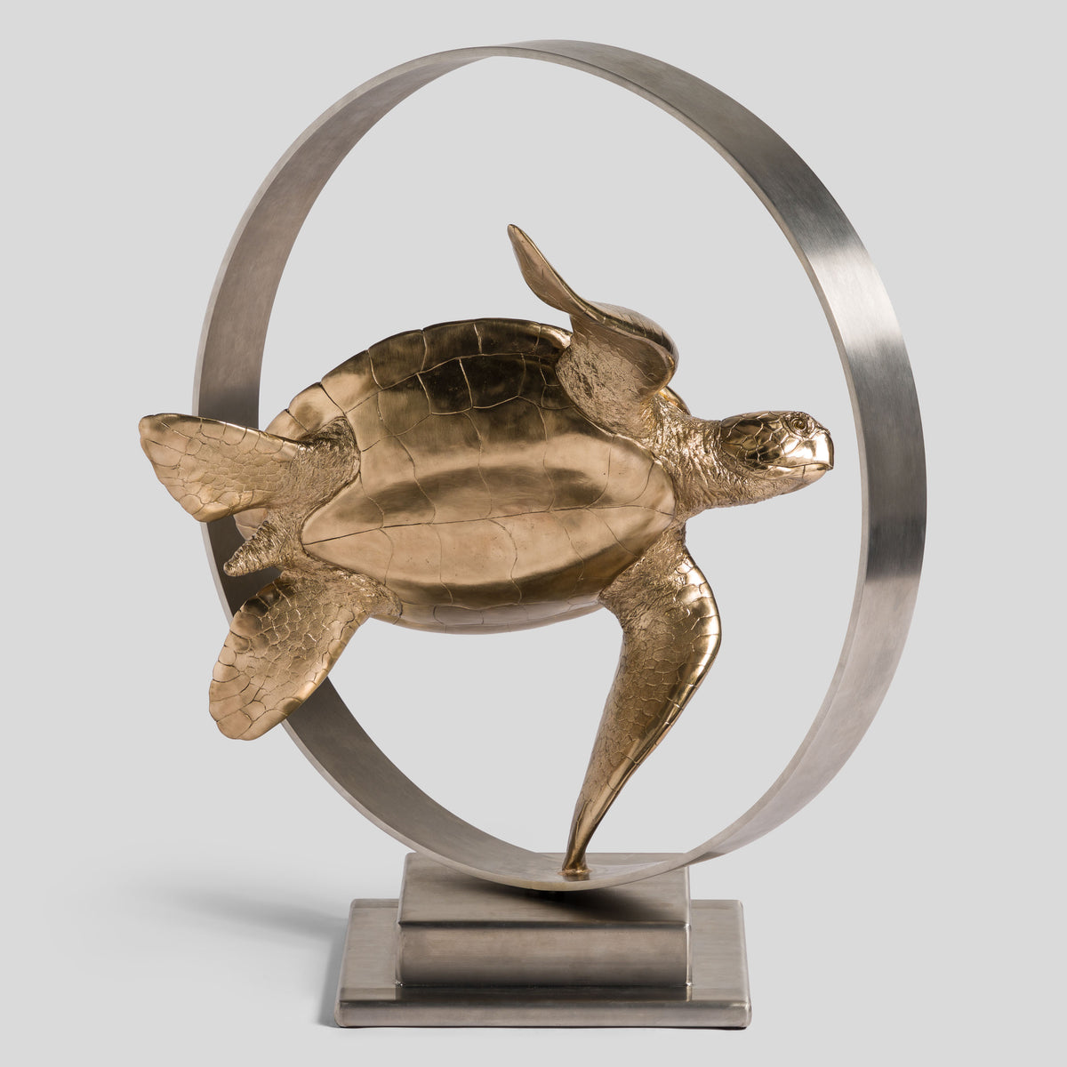 SWI SCU WWL 33636 Wisdom (Turtle) 4