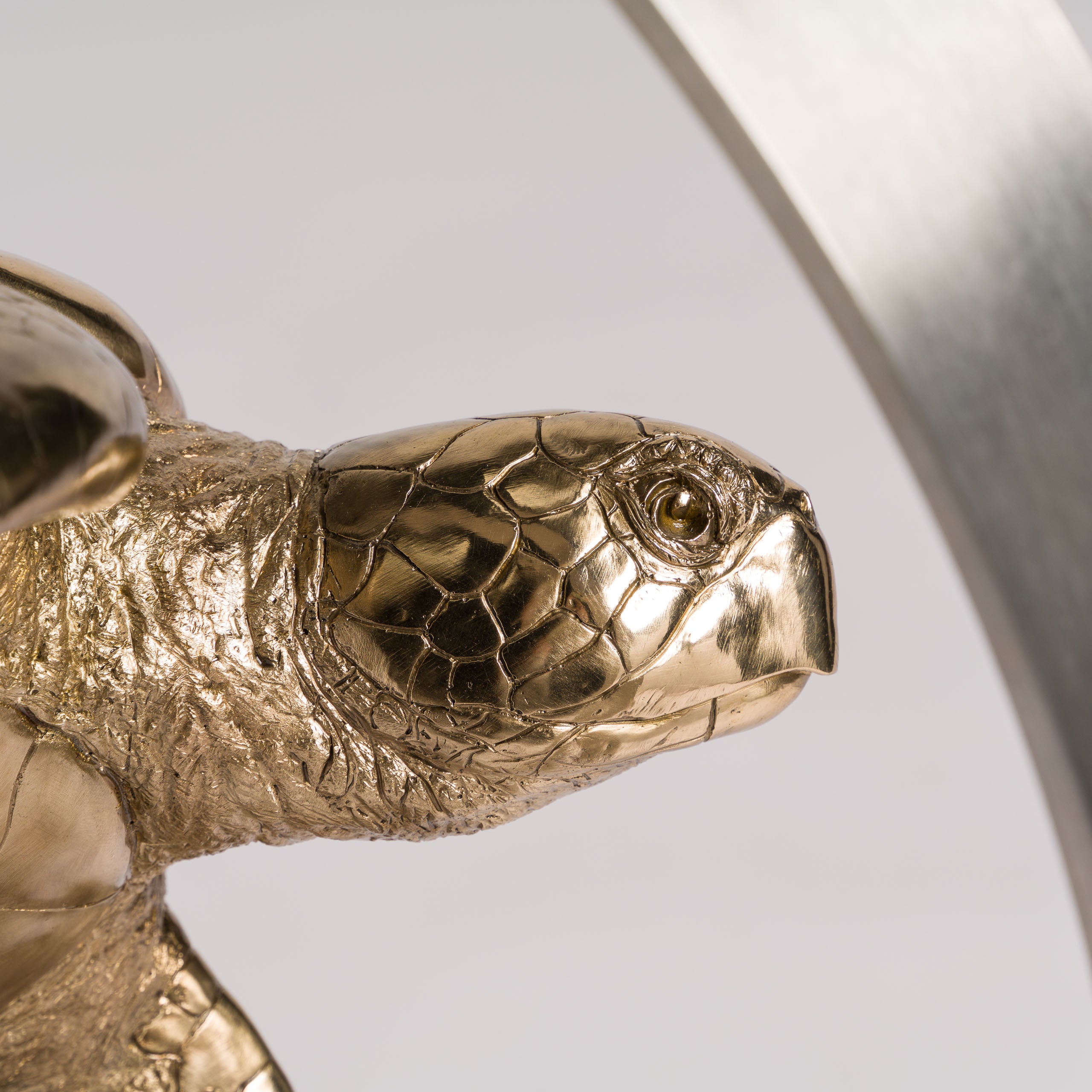 SWI SCU WWL 33636 Wisdom (Turtle) 5