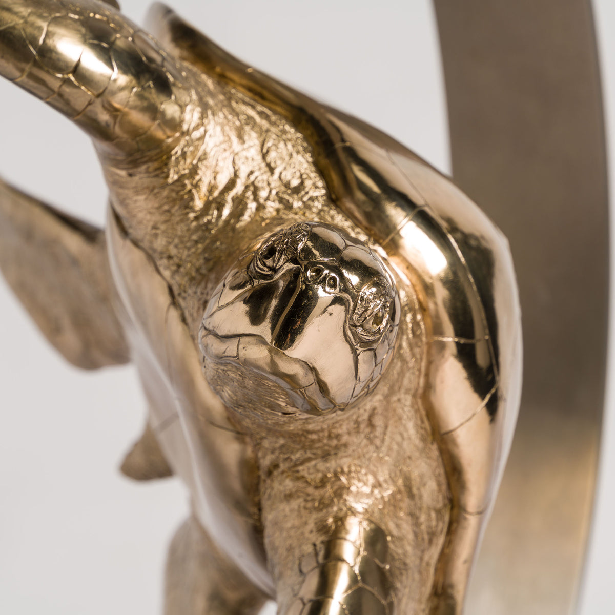 SWI SCU WWL 33636 Wisdom (Turtle) 8