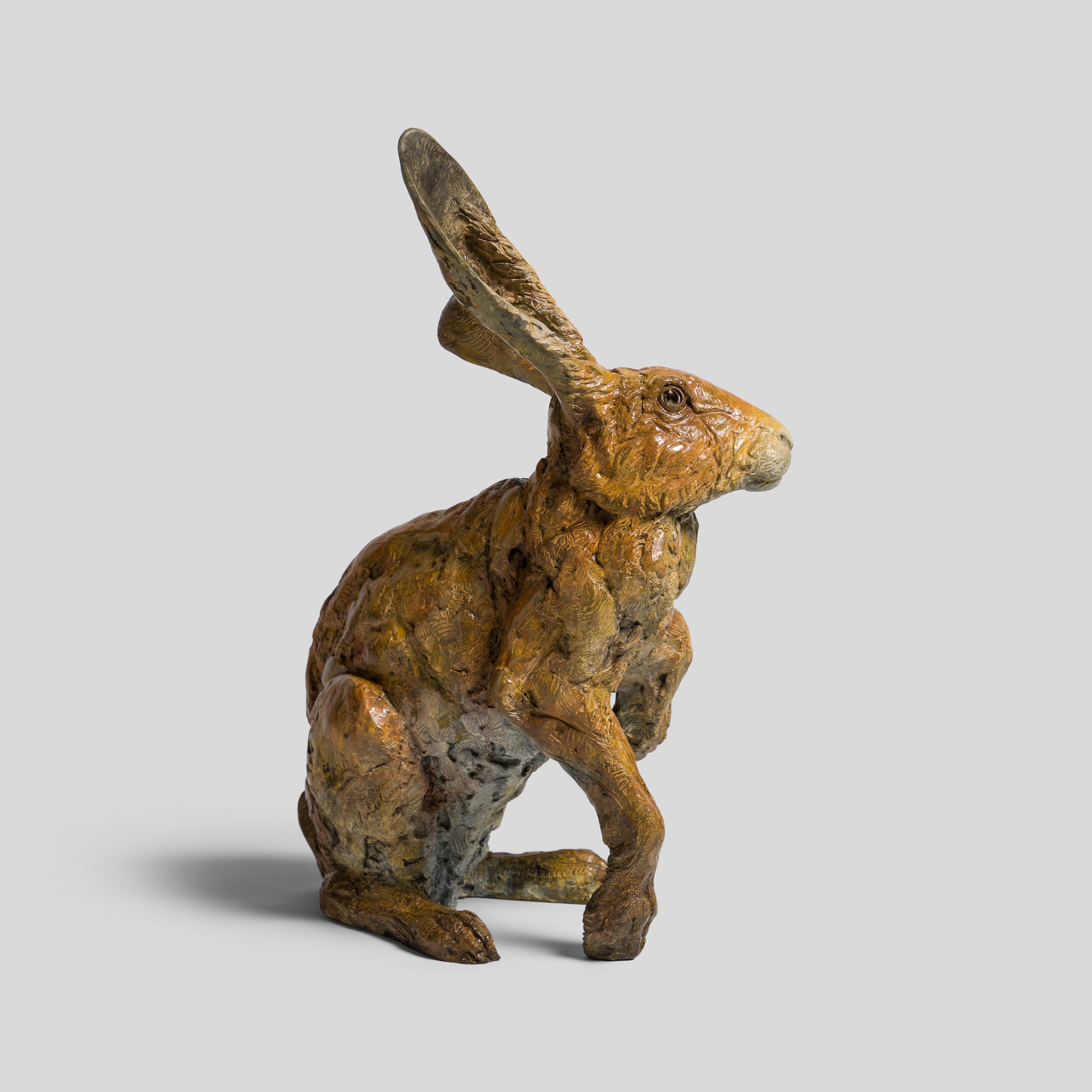 SWI SCU WWL 33647 Waiting for Spring 3