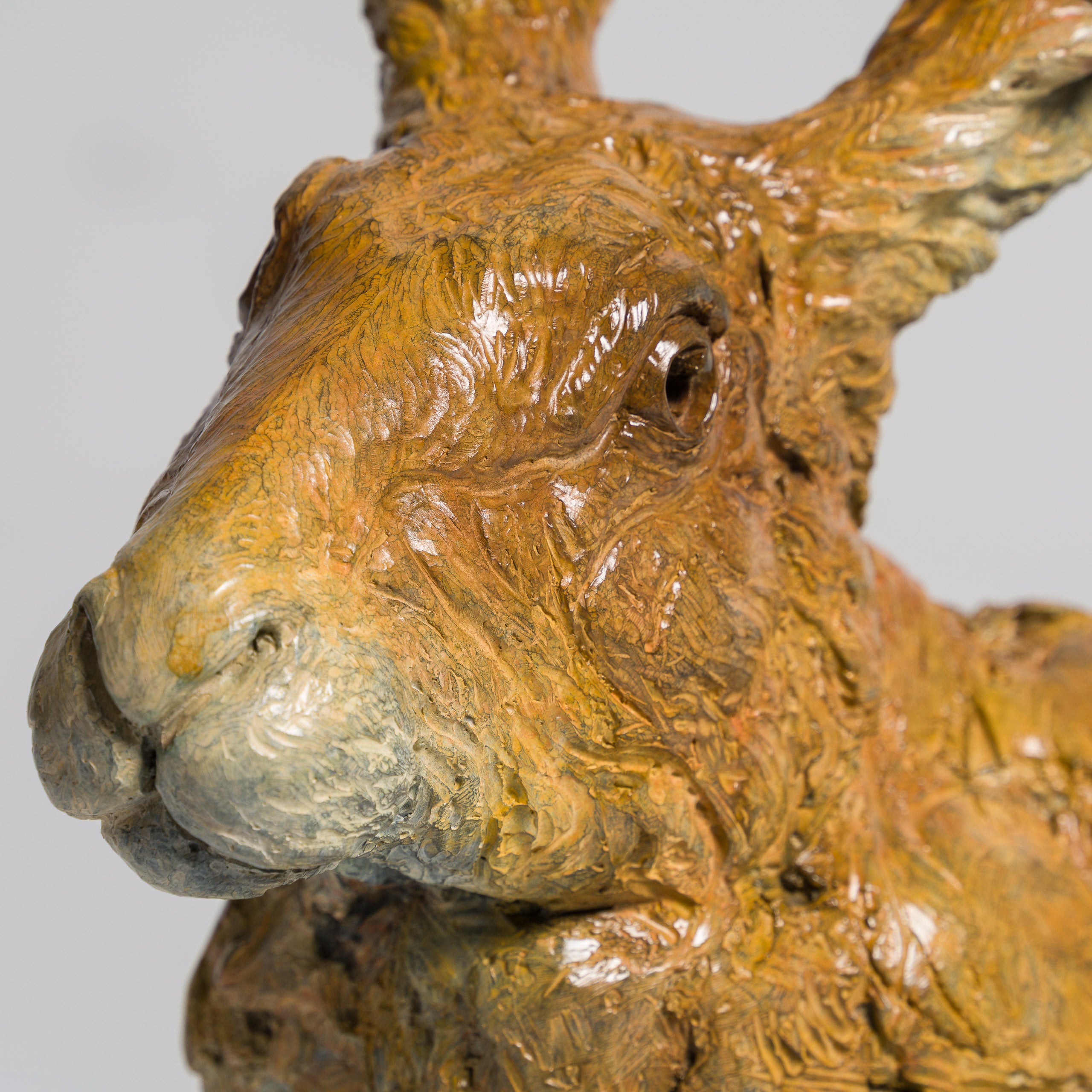 SWI SCU WWL 33647 Waiting for Spring 5