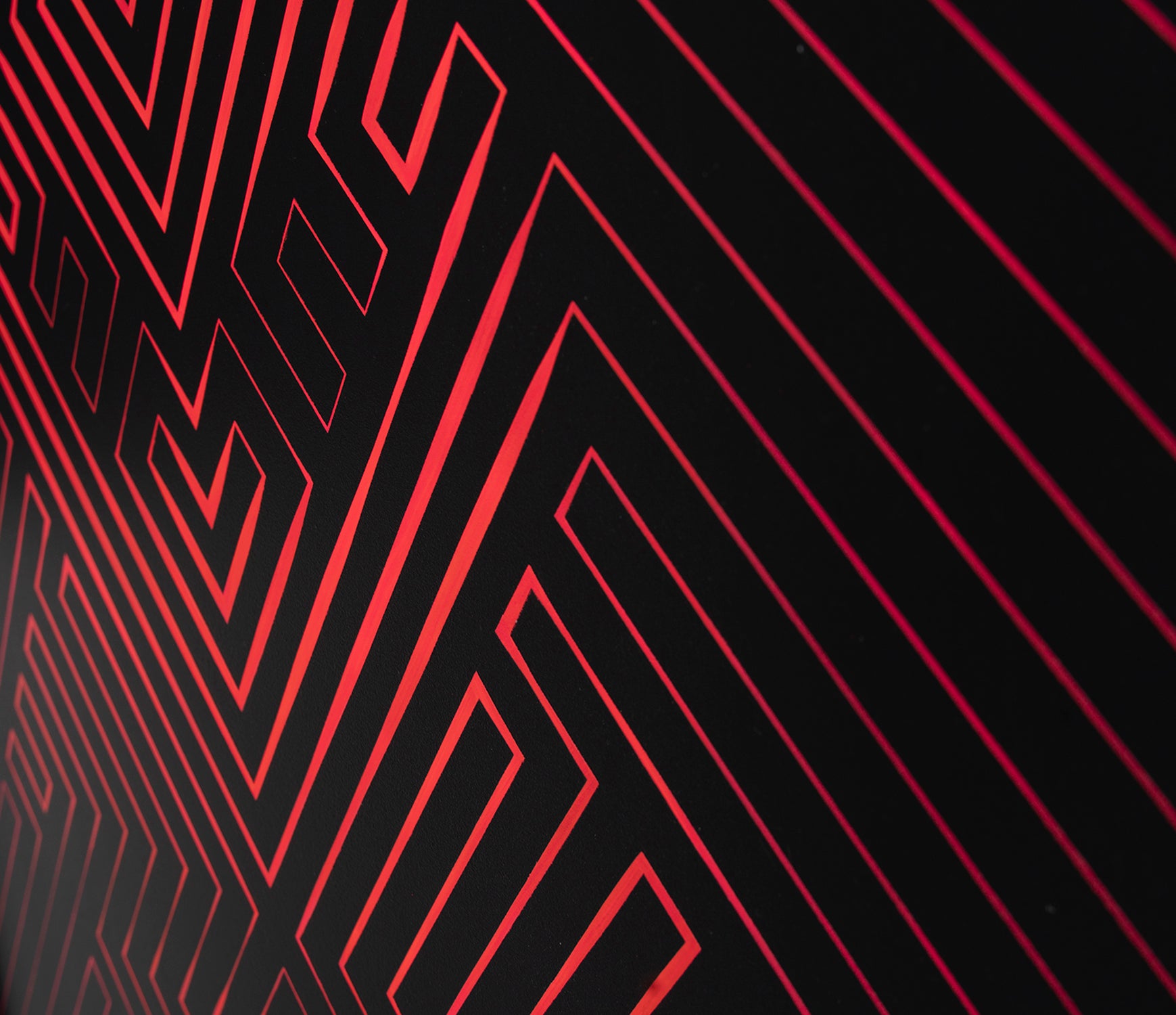 TCR ORI WWL 19268 8 Professor Pink