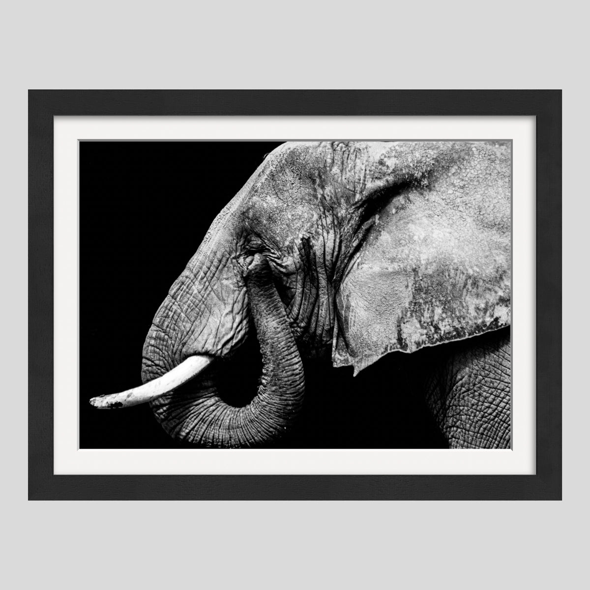 Tears Of The Vanishing 1