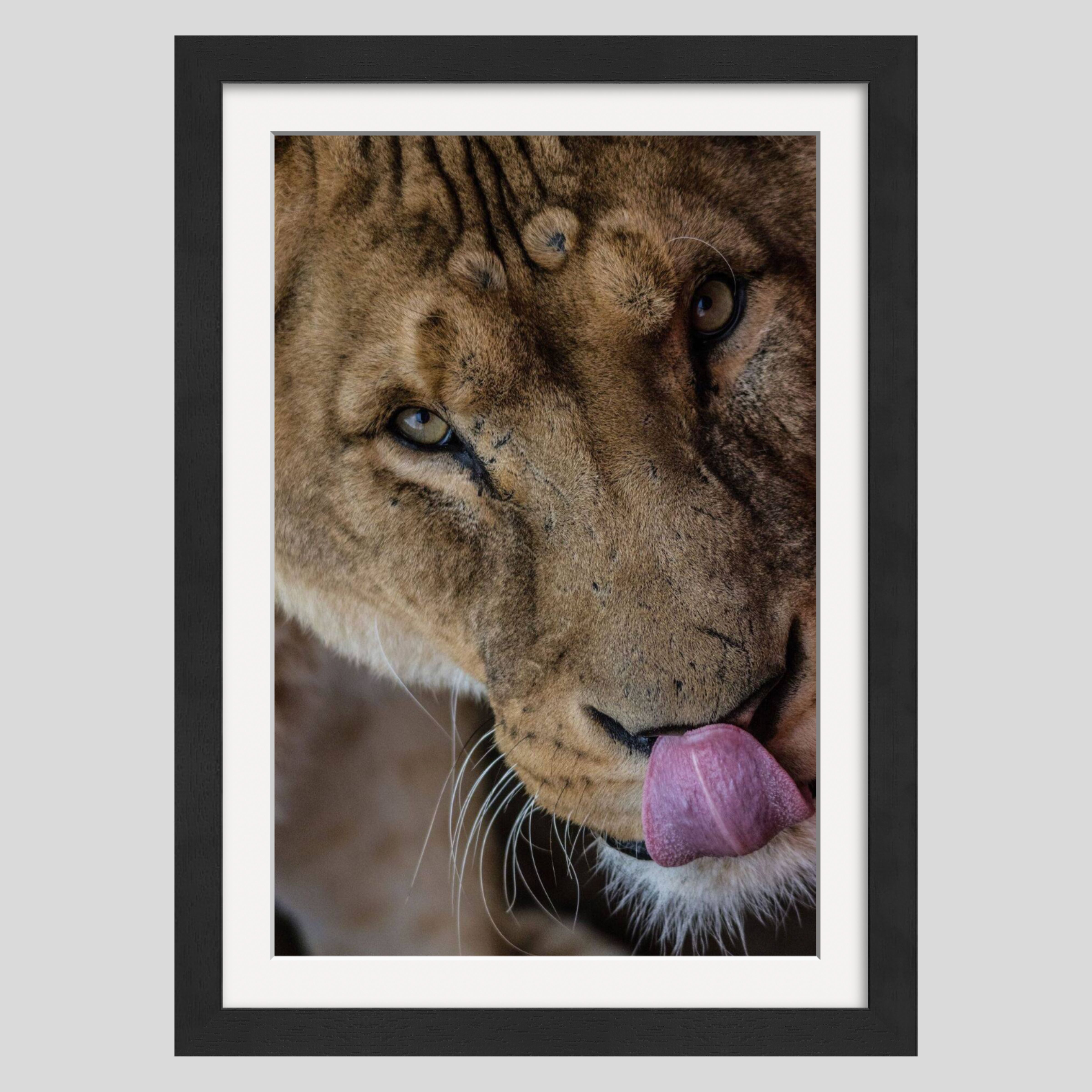 That Look You Gave Me 1