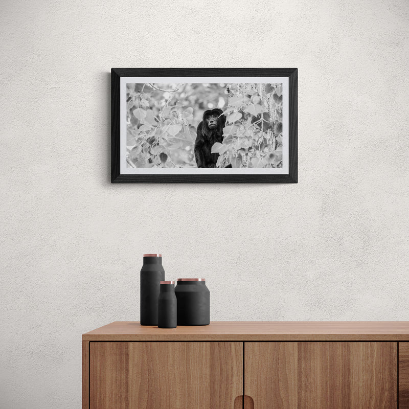 The Forests Are Falling 2