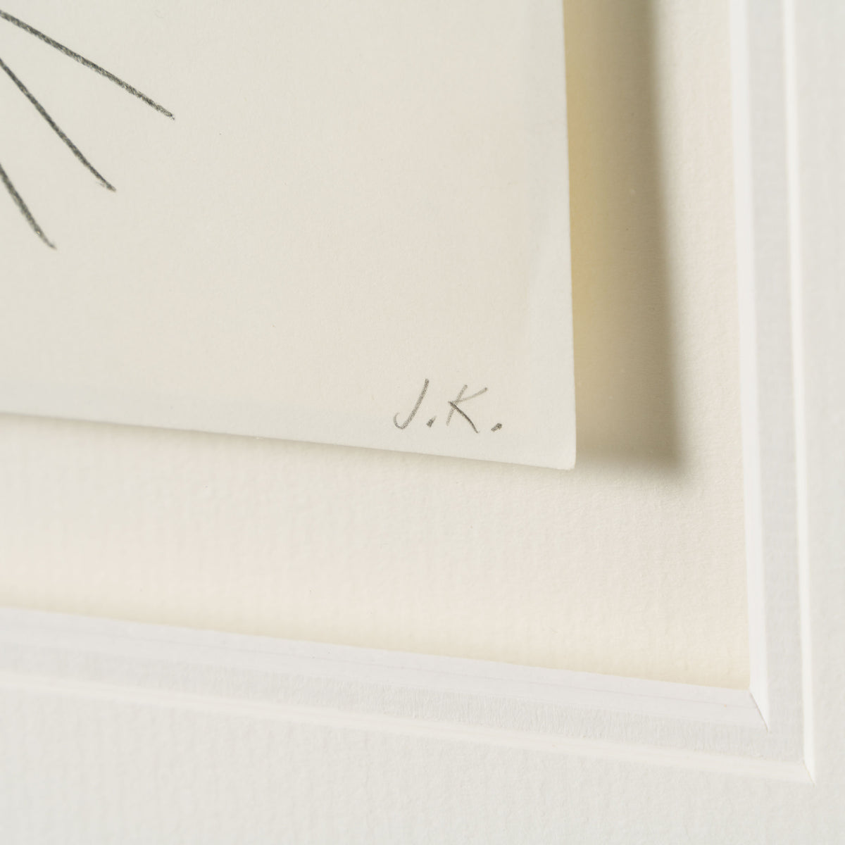 VIN ORI POR 27423 Scar (1) Storyboard 3