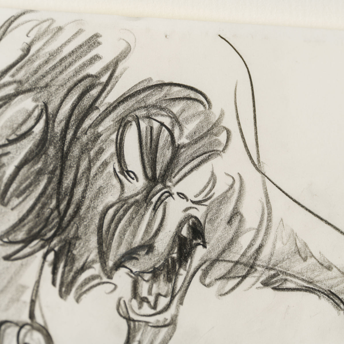 VIN ORI POR 27425 Scar (3) Storyboard 4