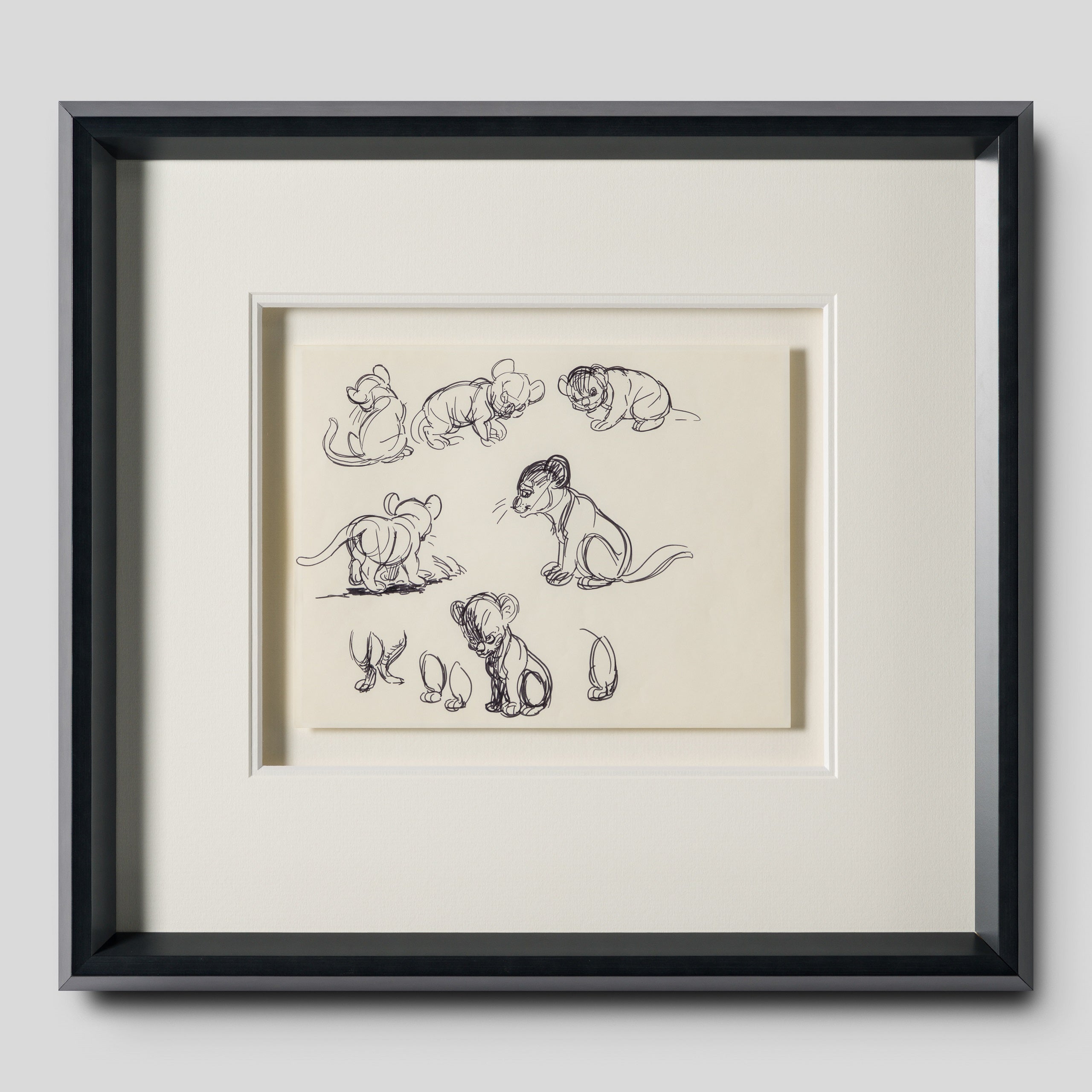 VIN ORI POR 27546 1 Simba (1) Storyboard