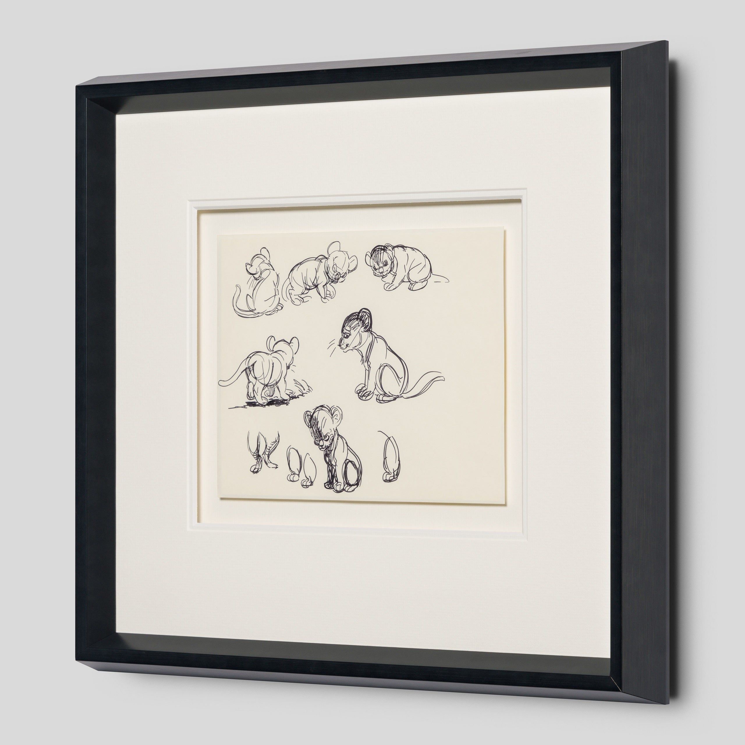 VIN ORI POR 27546 2 Simba (1) Storyboard