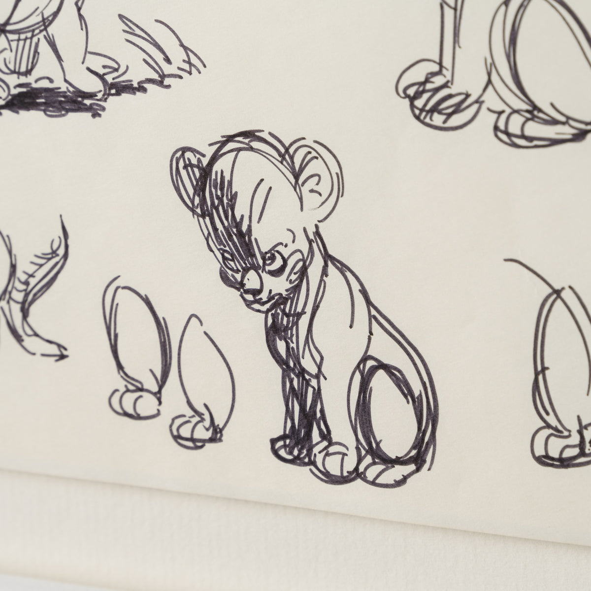 VIN ORI POR 27546 3 Simba (1) Storyboard