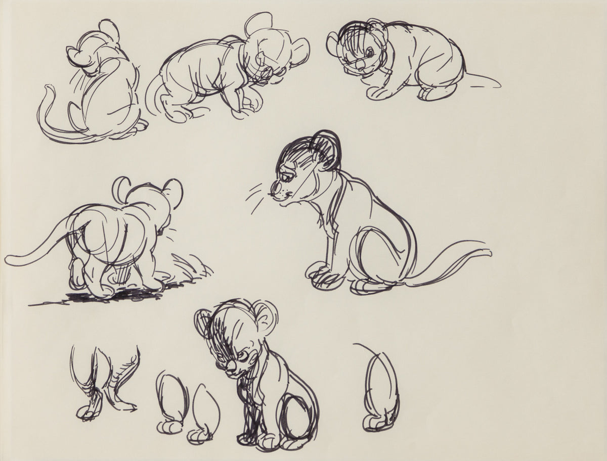 VIN ORI POR 27546 31 Simba (1) Storyboard