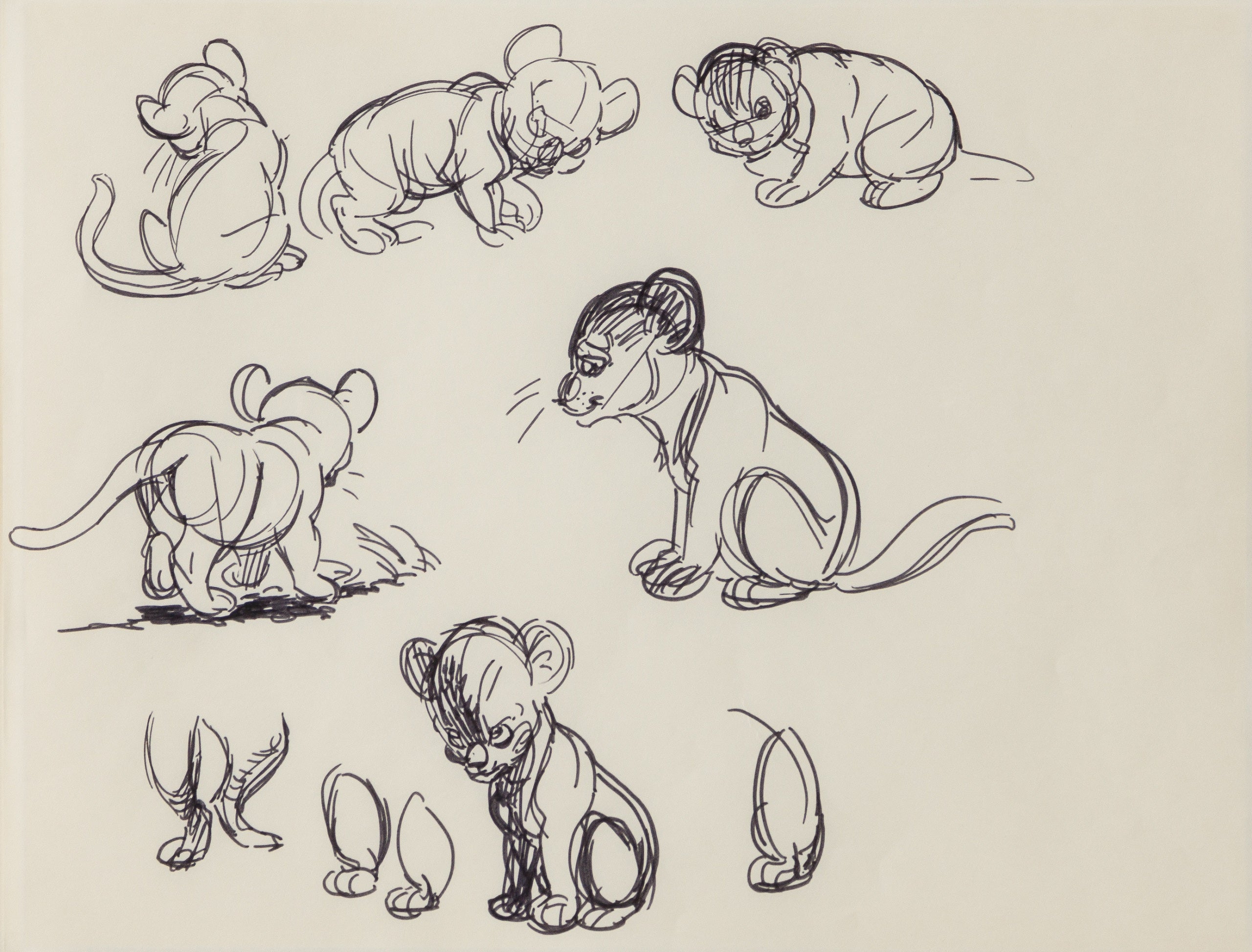 VIN ORI POR 27546 31 Simba (1) Storyboard