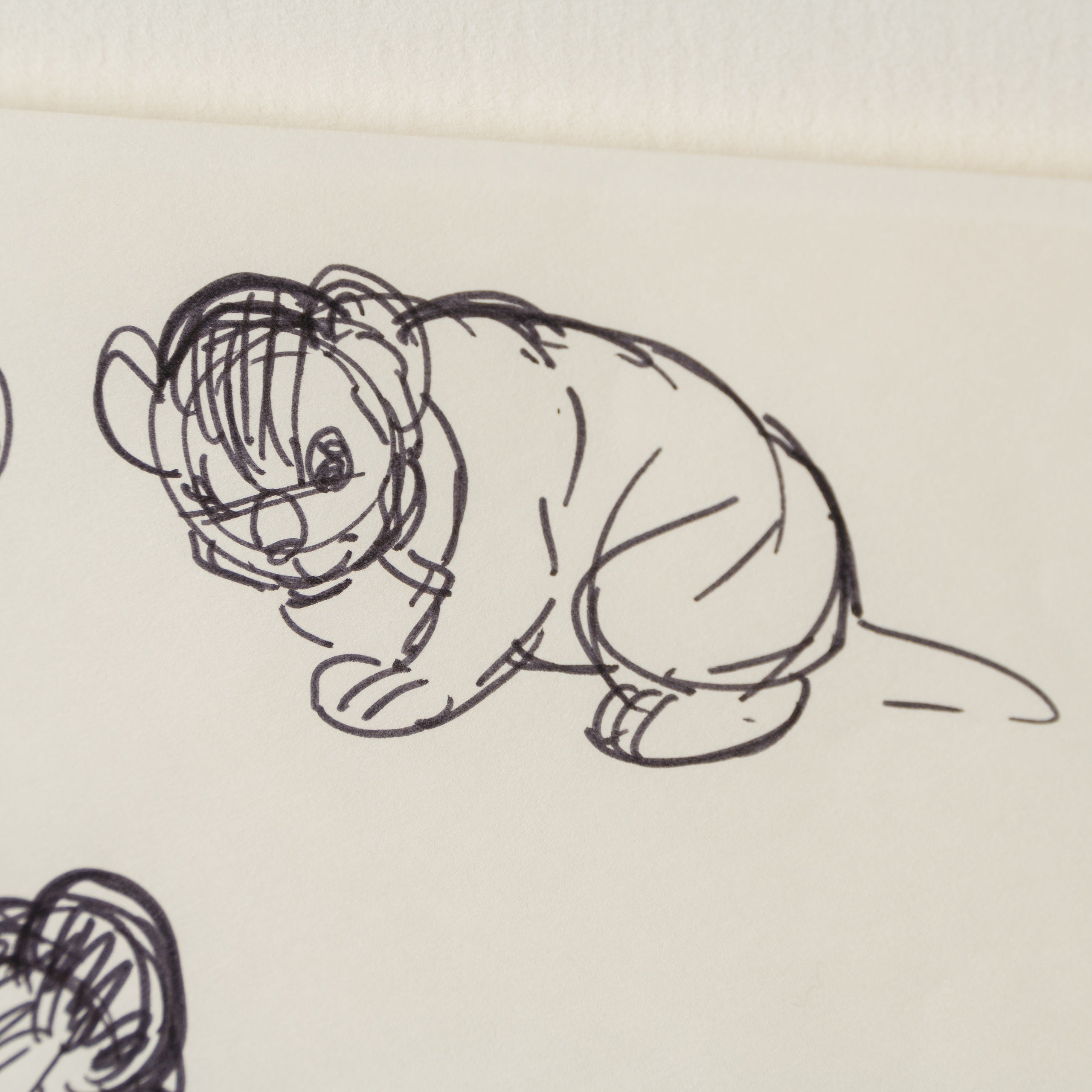 VIN ORI POR 27546 4 Simba (1) Storyboard