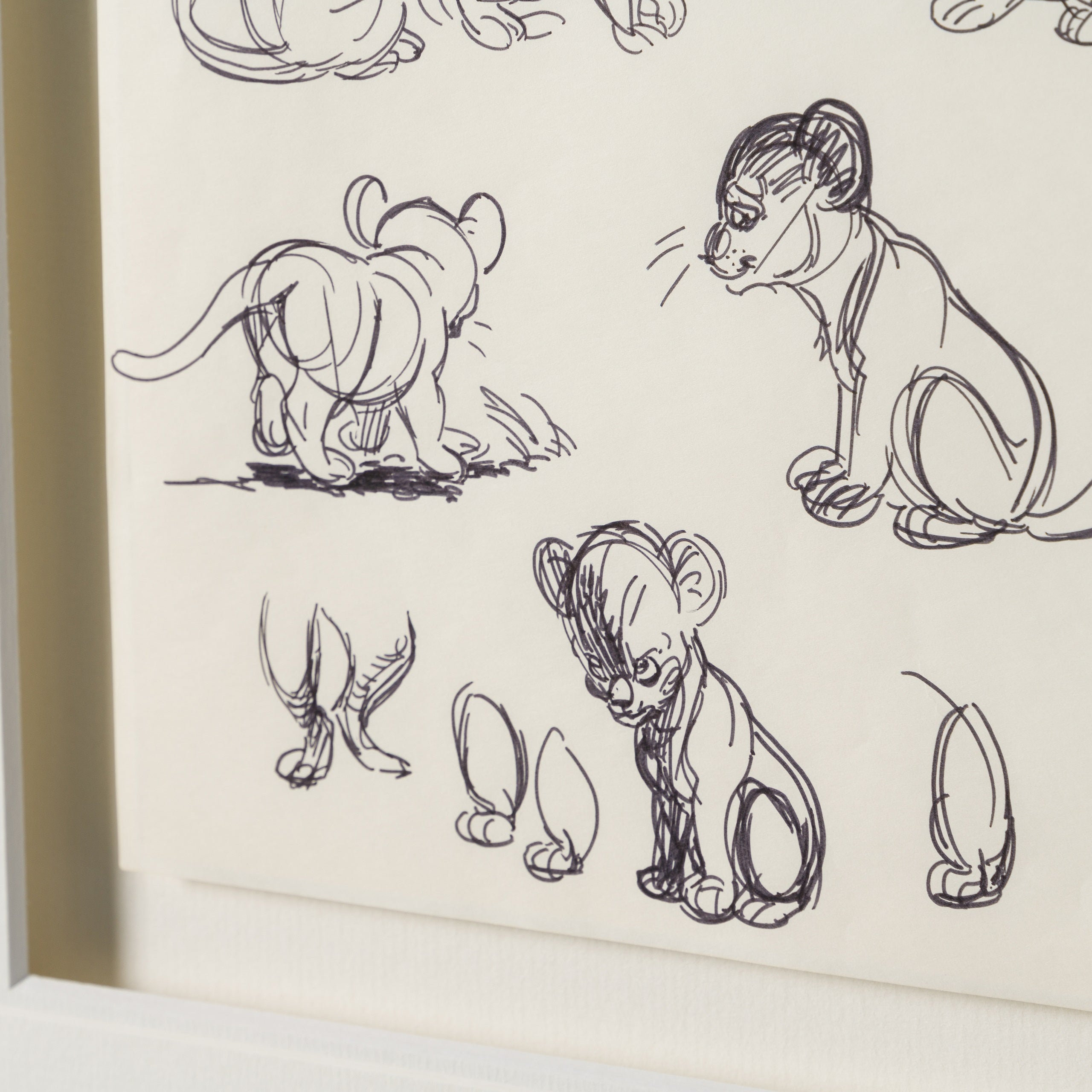 VIN ORI POR 27546 5 Simba (1) Storyboard