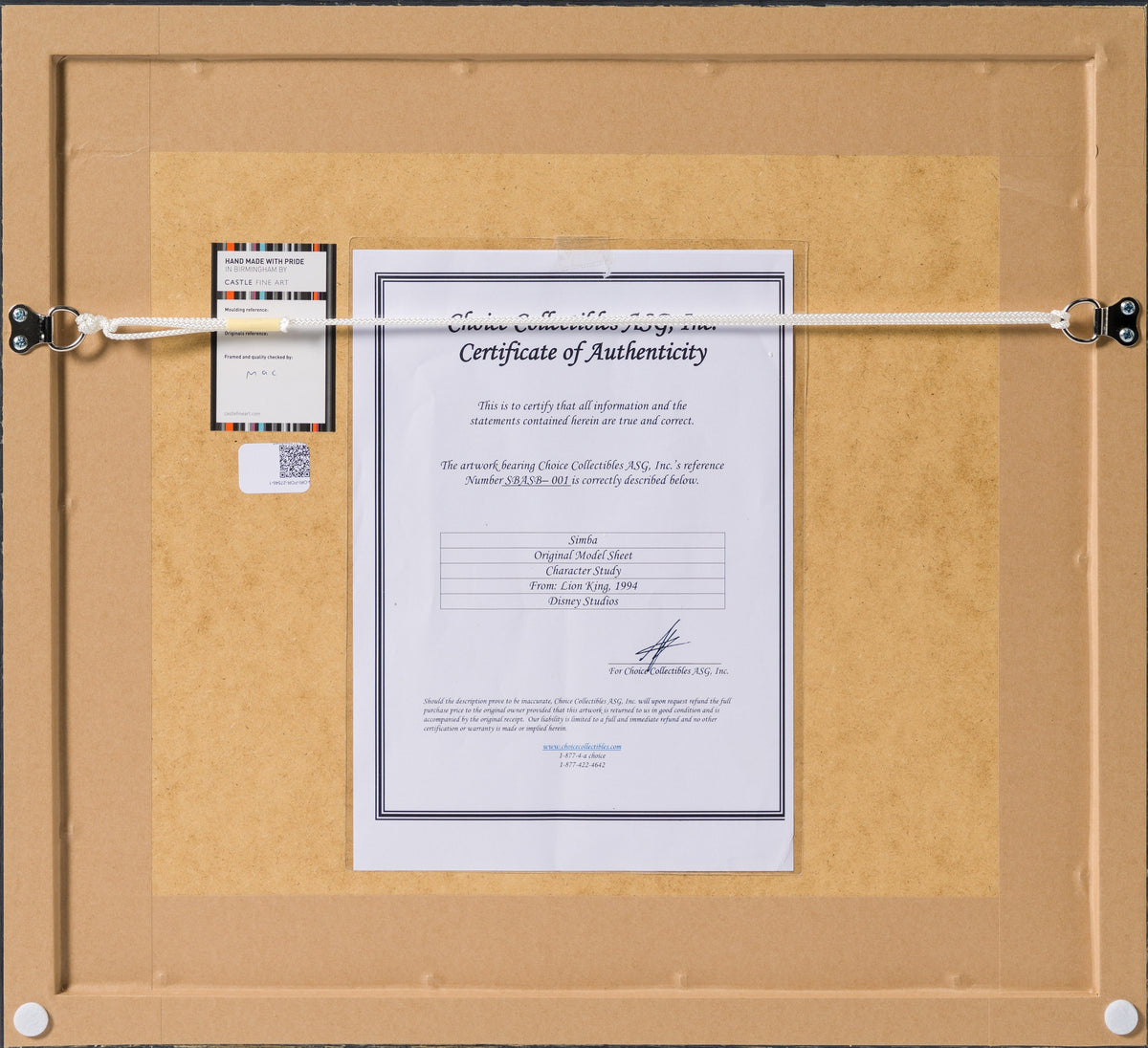 VIN ORI POR 27546 7 Simba (1) Storyboard