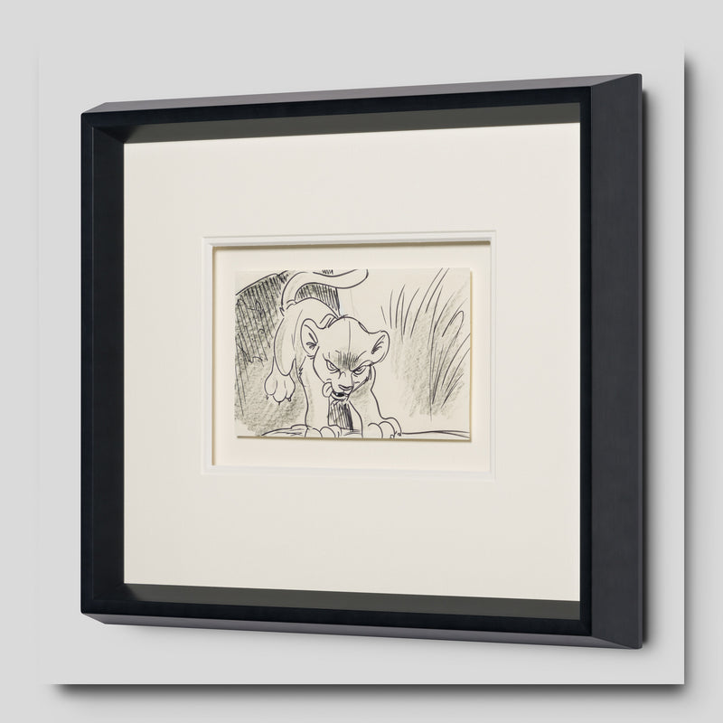 VIN ORI POR 27547 2 Simba (2) Storyboard