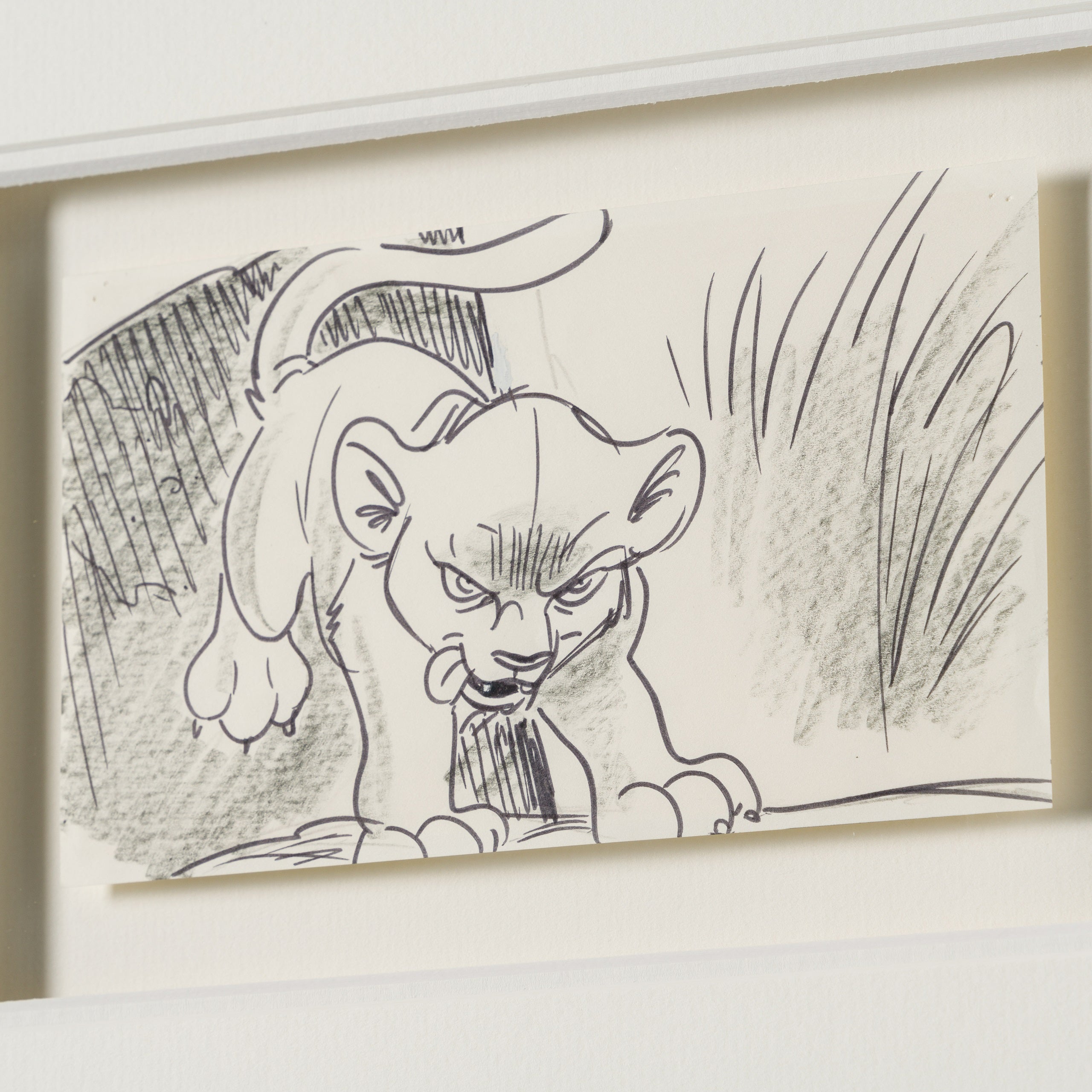 VIN ORI POR 27547 5 Simba (2) Storyboard