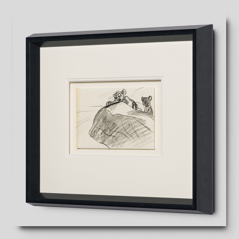 VIN ORI POR 27552 2 Simba and Nala (3) Storyboard