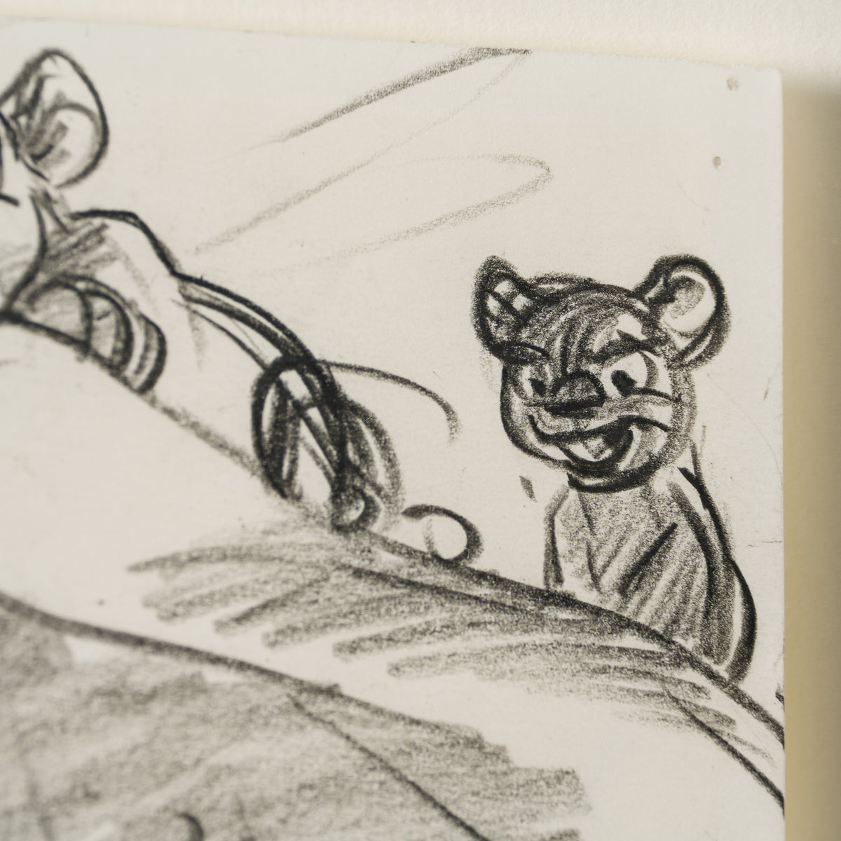 VIN ORI POR 27552 3 Simba and Nala (3) Storyboard